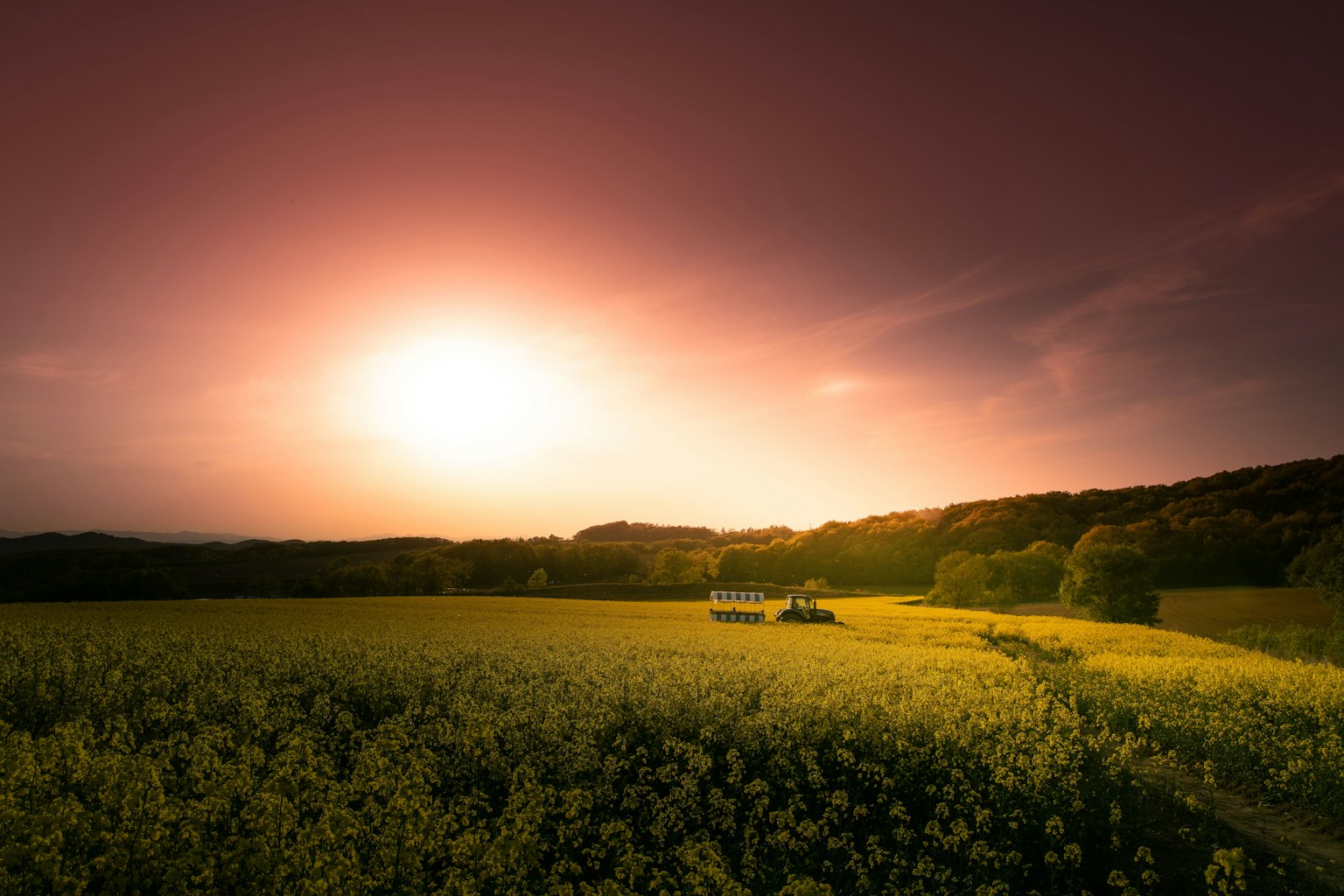 photo-MmNkw2Qdvc7QDpKyNhE7-image