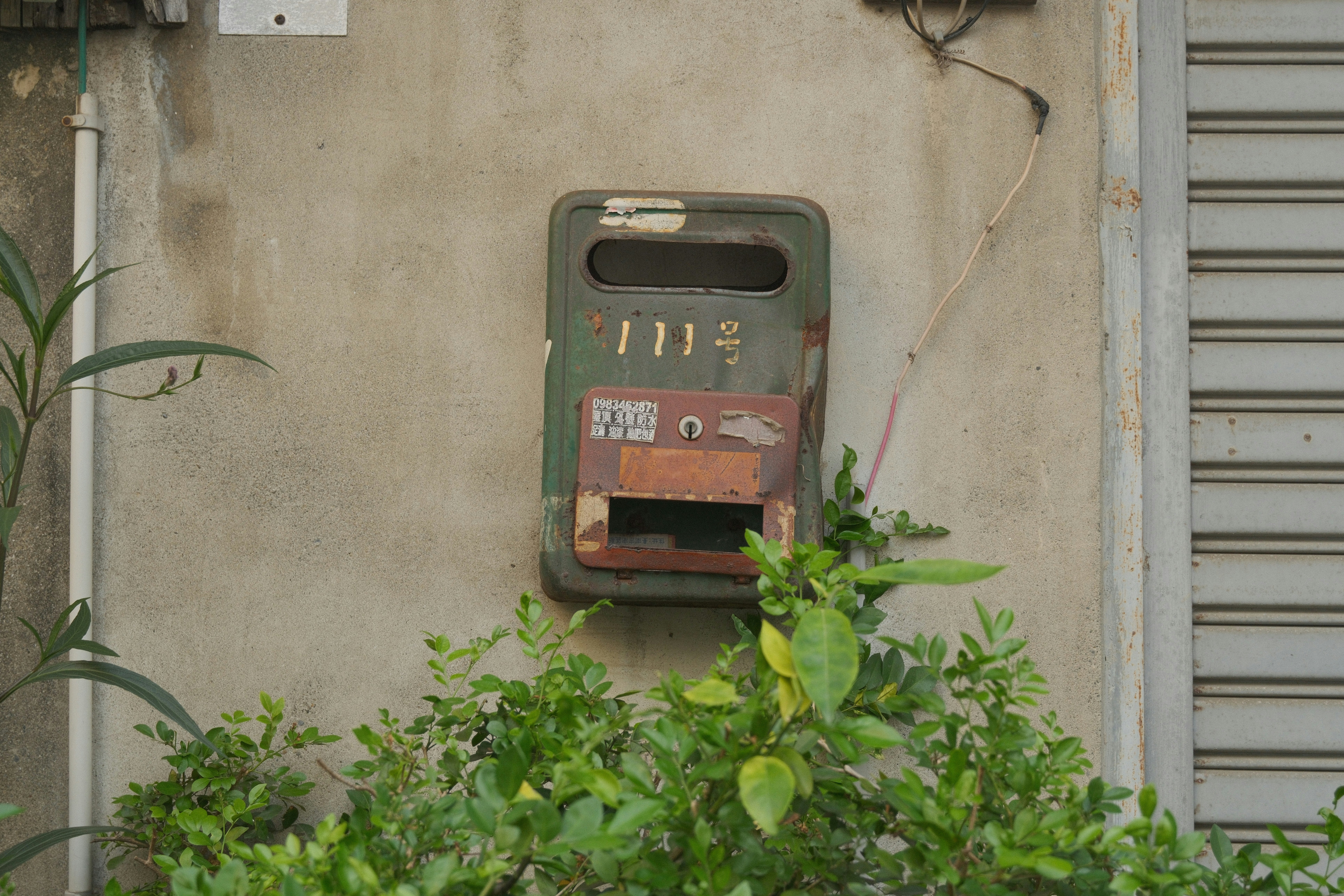 壁に取り付けられた古い電話ボックスと植え込みのある路地