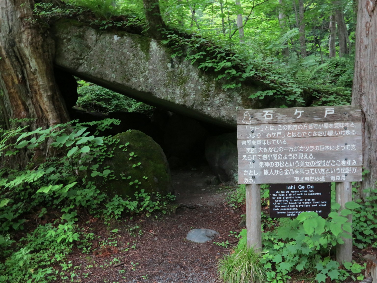 Höhleneingang unter einem großen Felsen in einem üppigen grünen Wald mit Informationsschild