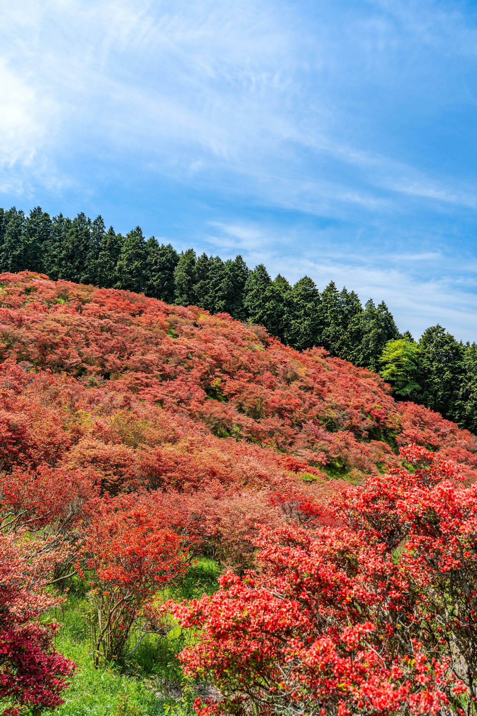 photo-MoA0Zj7nDjnObAnpdWKd-image