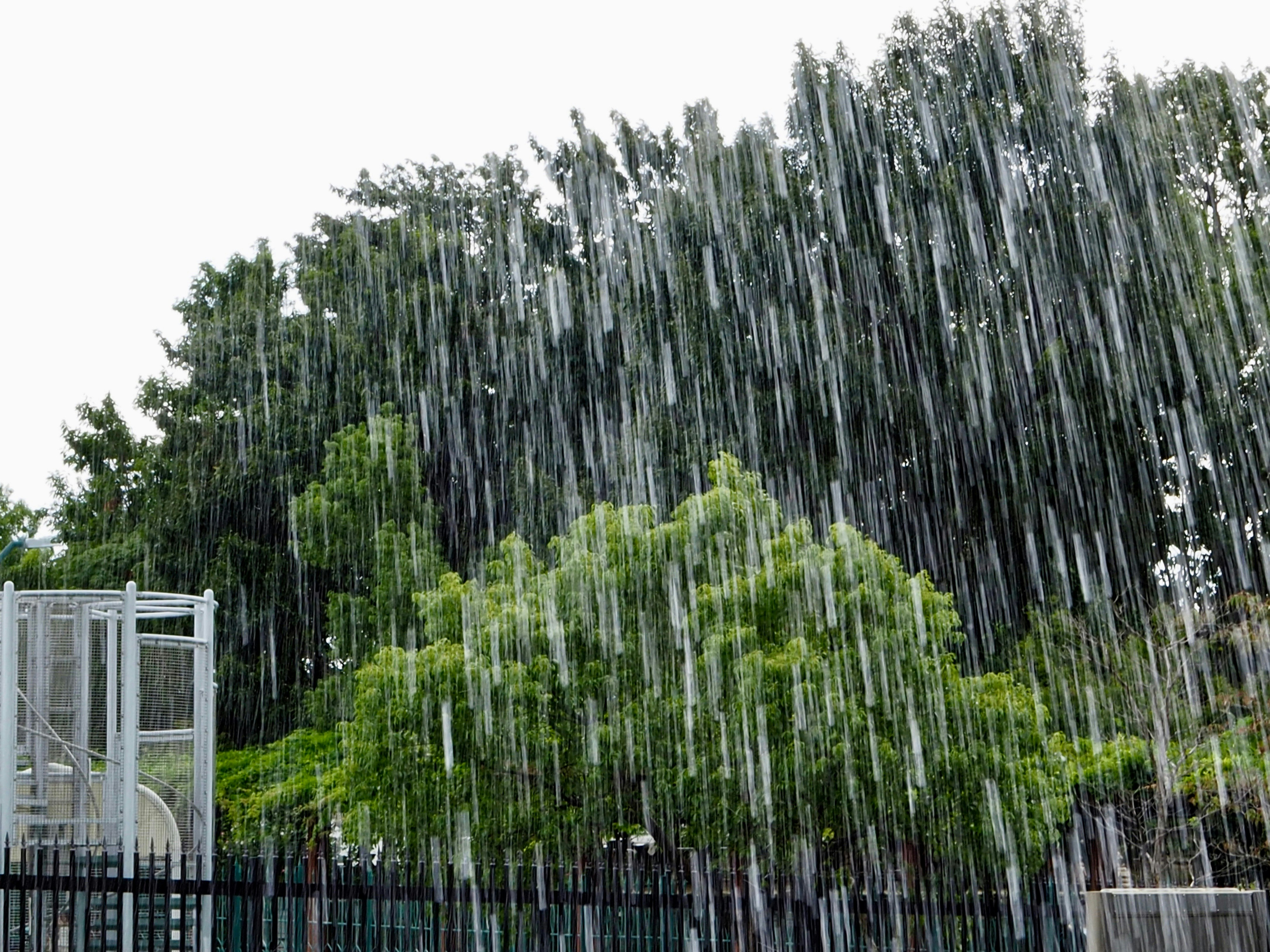 Rain falling on trees and a fence