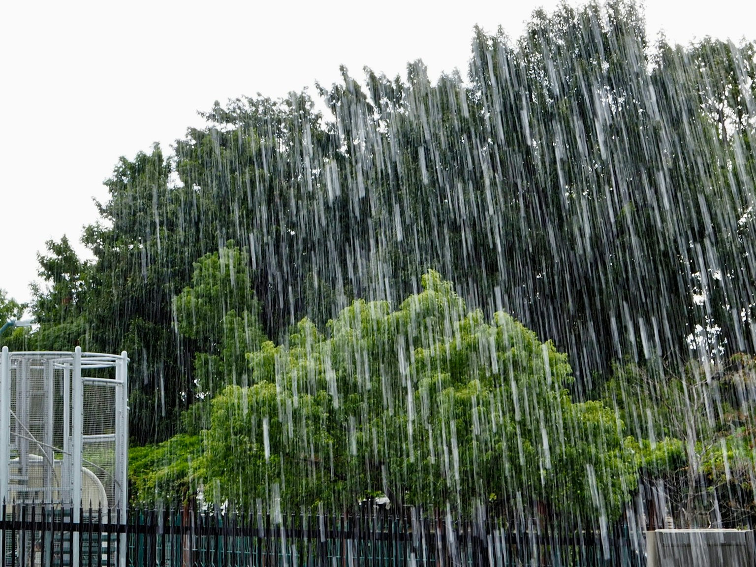 Rain falling on trees and a fence