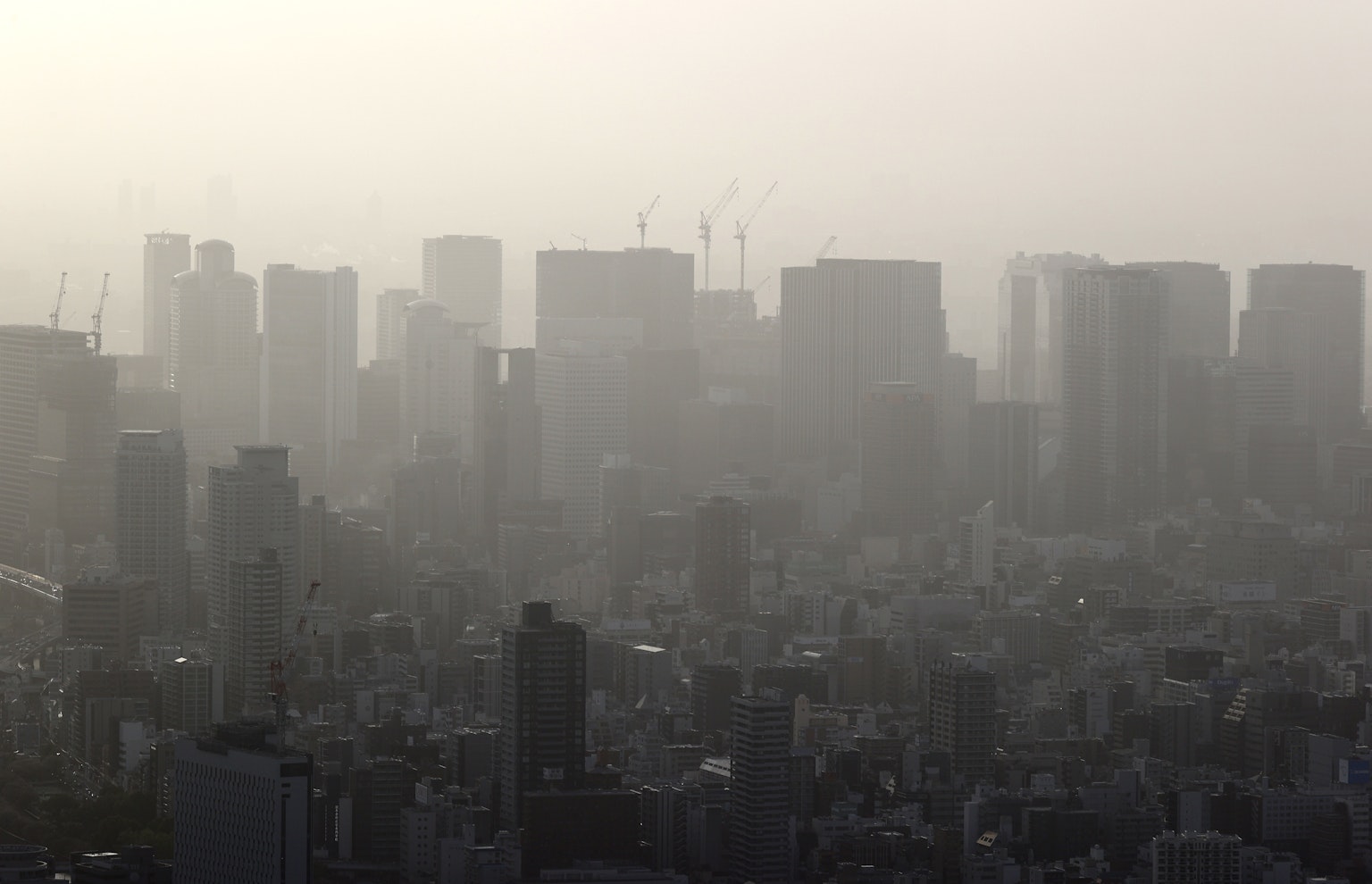 Silhouette della skyline di Tokyo nella nebbia