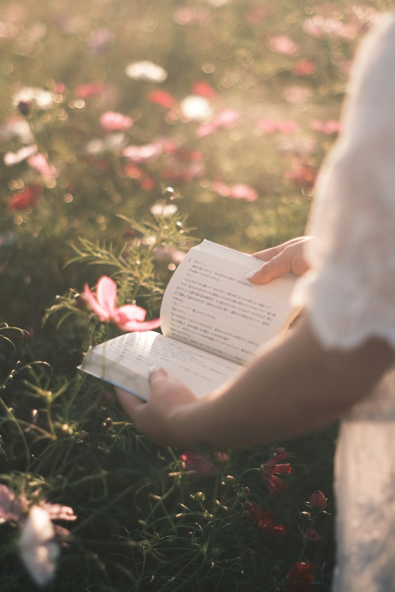 A person's hands holding an open book in a flower field