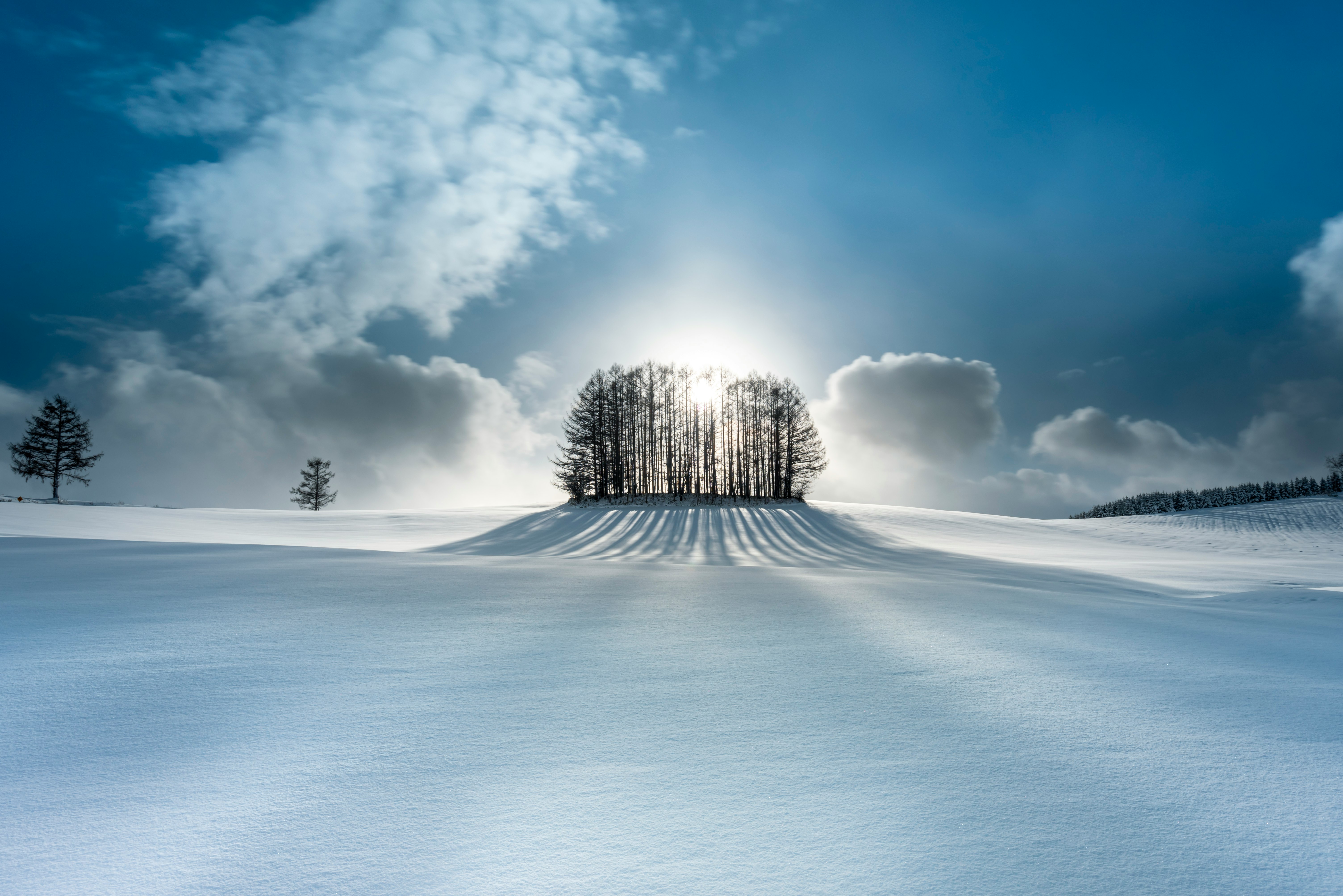 雪原に立つ一本の木と光の差す丘の風景