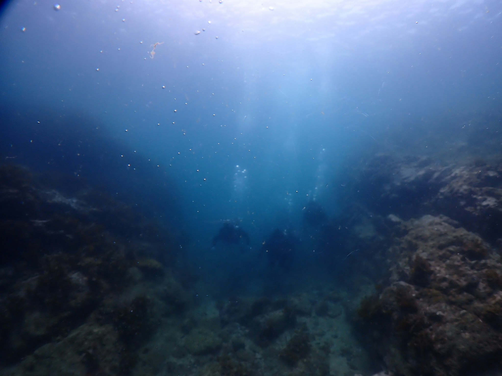 海中で差し込む光のある水中風景