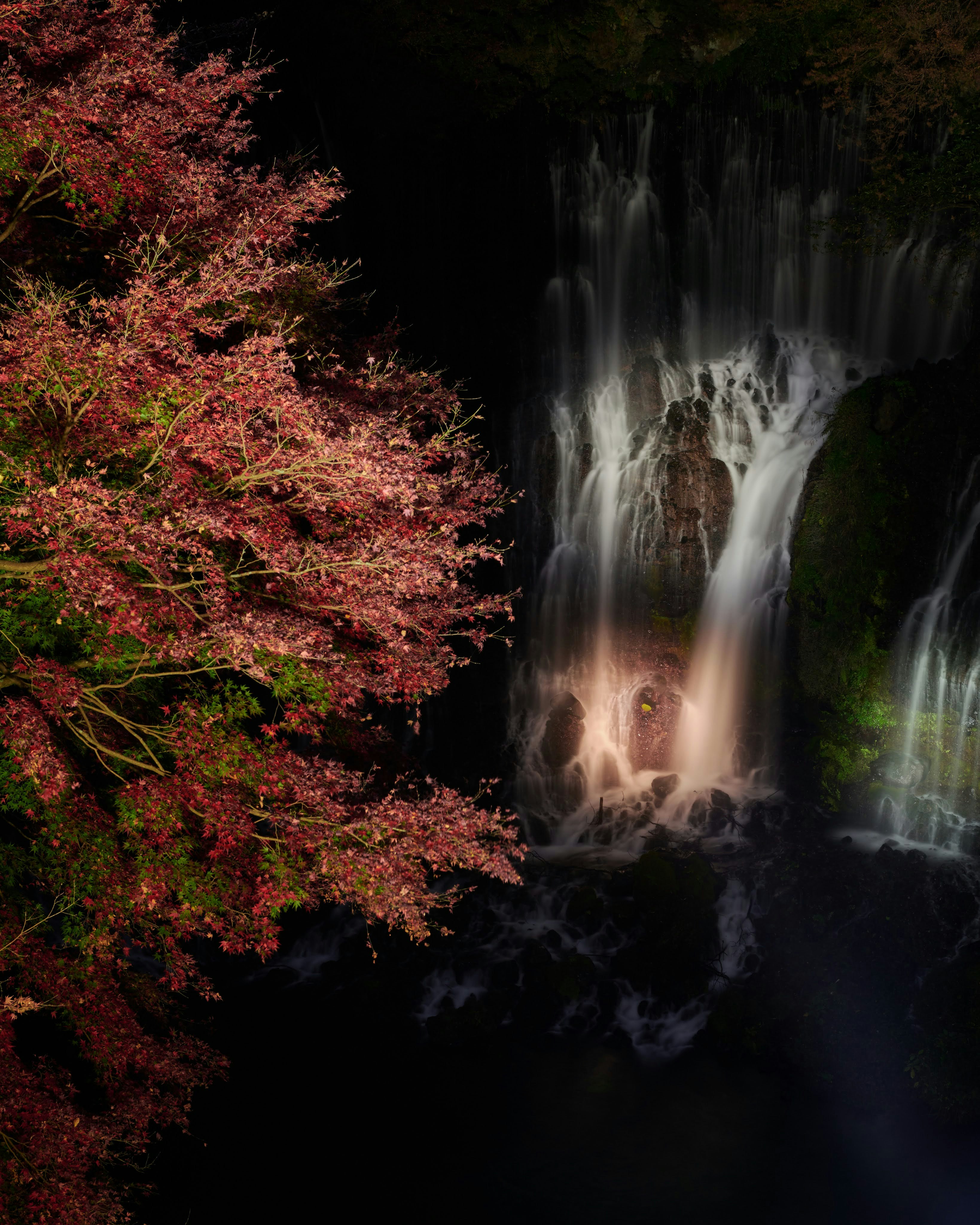 紅葉と滝の流れが織りなす夜の渓谷の風景