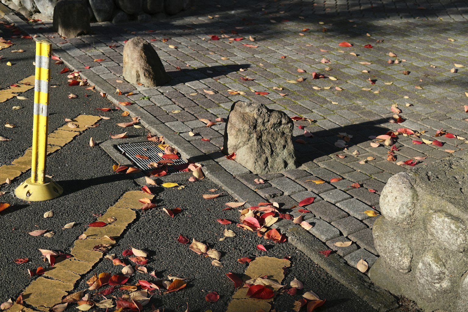 一幅落叶和石头散落在铺砌小路上的场景