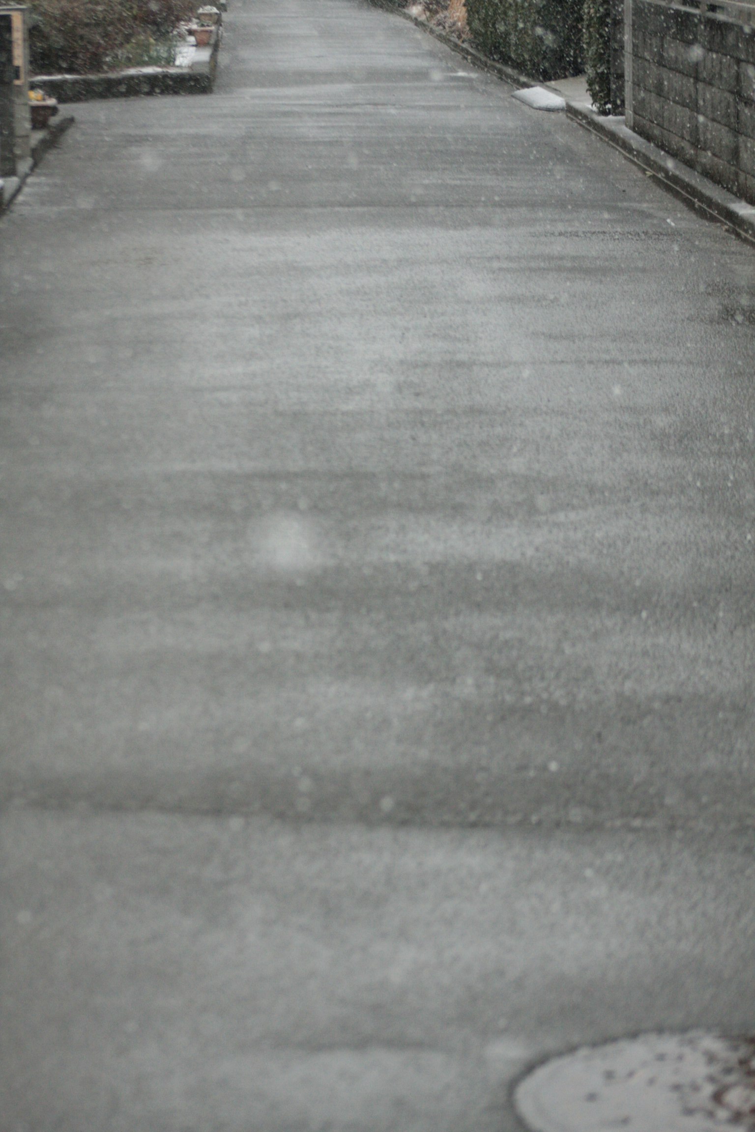 Paved road scene with falling snow