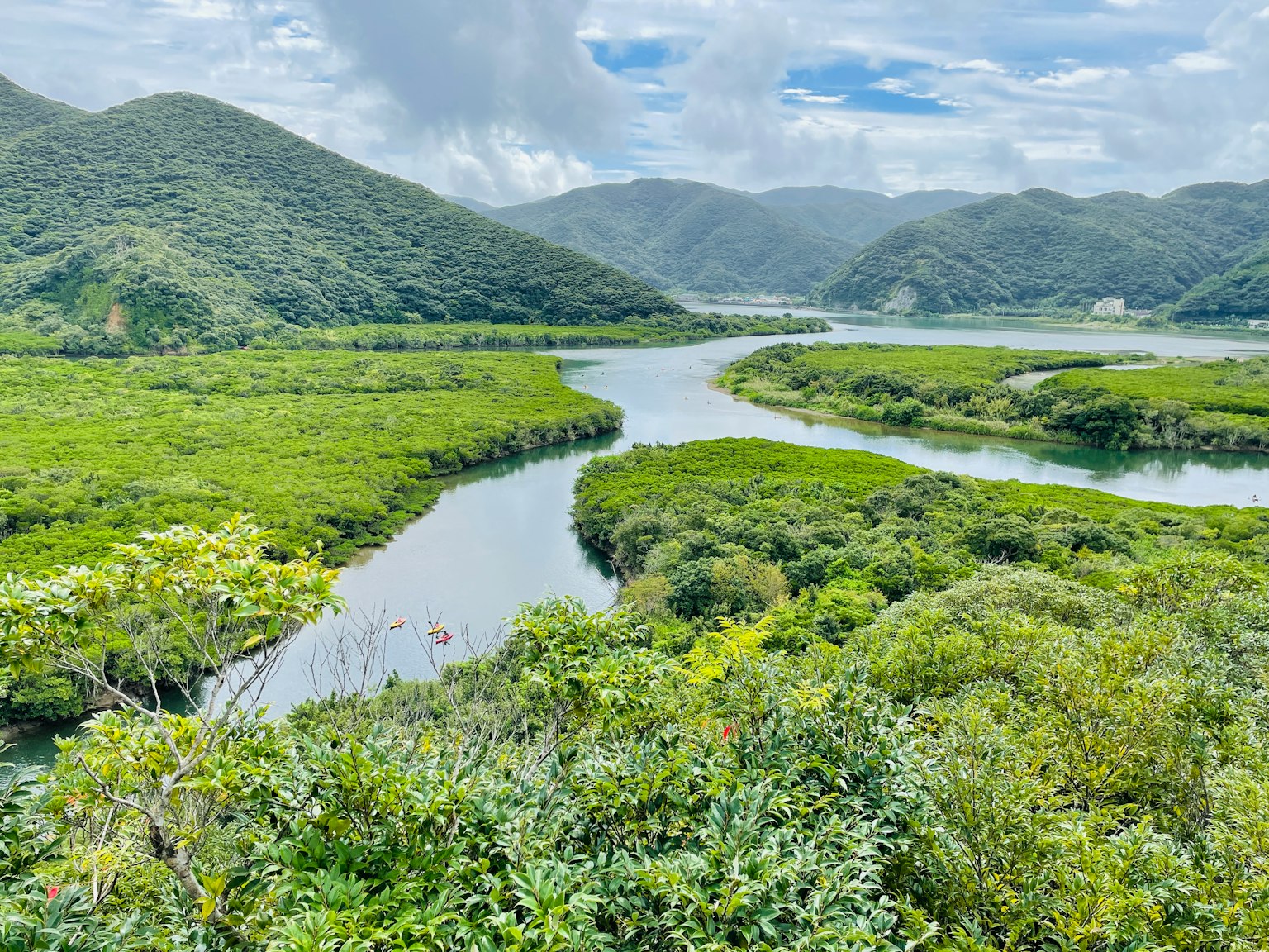 Paisaje de río verde con montañas