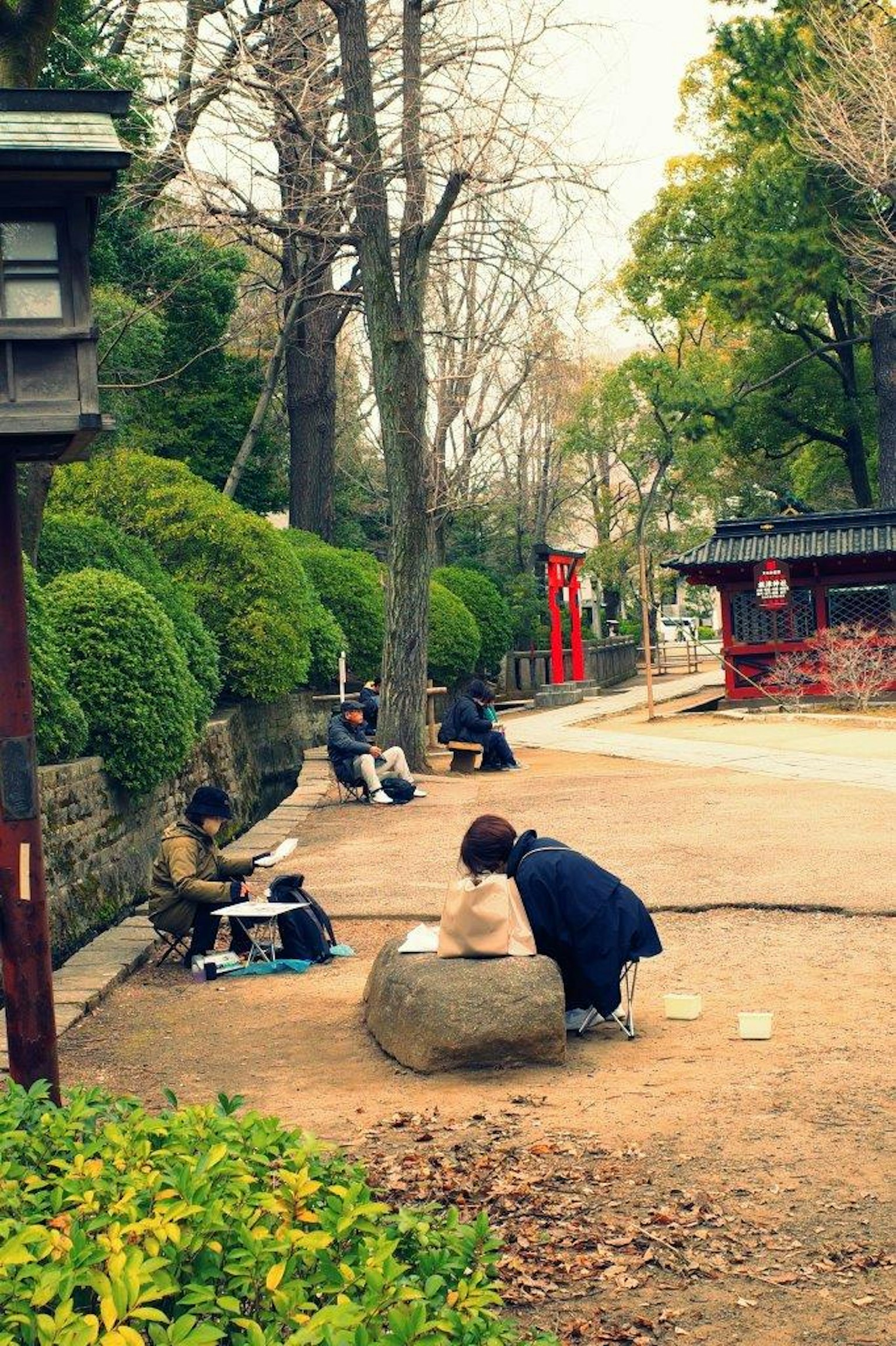 People sketching in a park surrounded by lush greenery