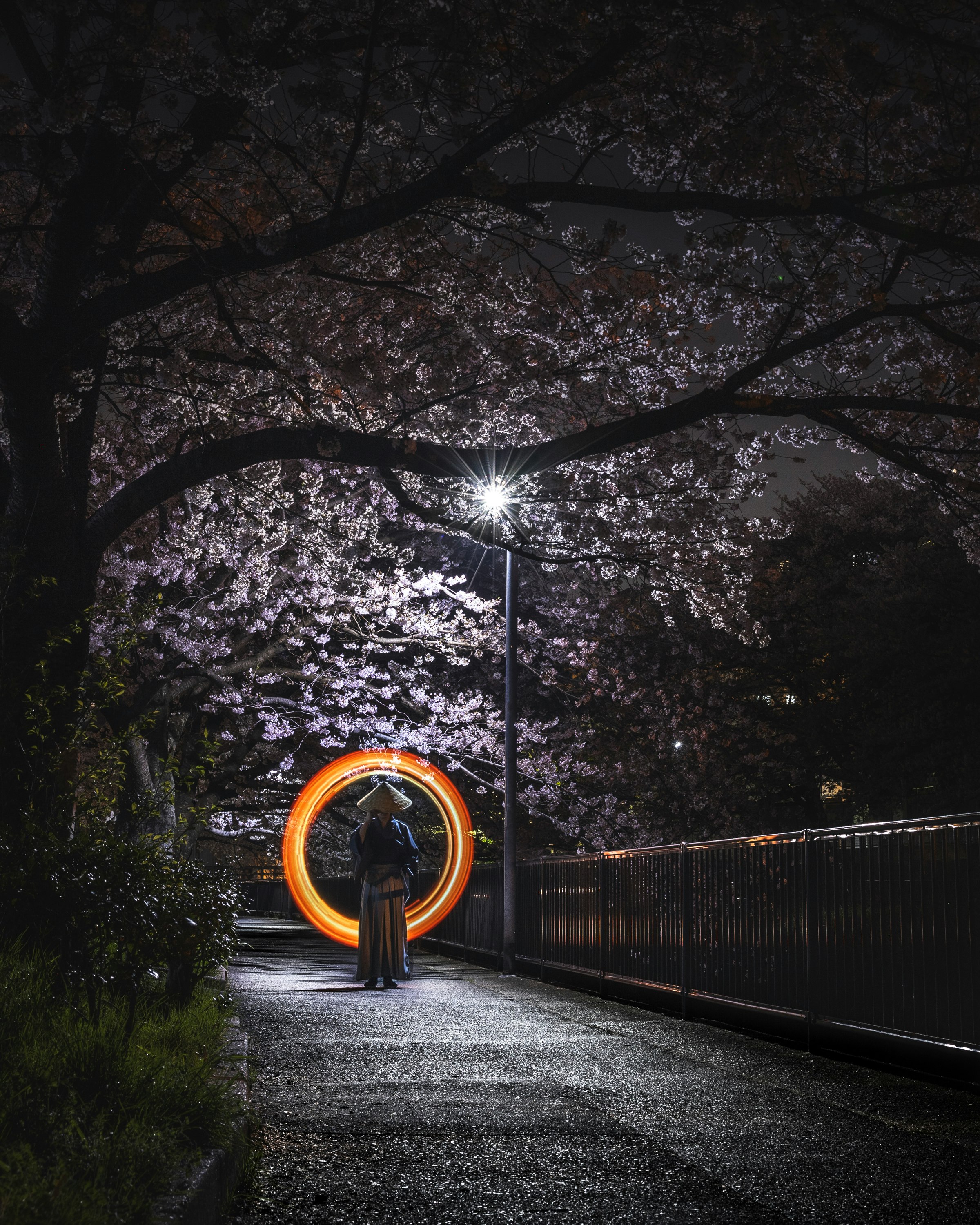 allée sous des cerisiers en fleurs la nuit avec un anneau lumineux orange
