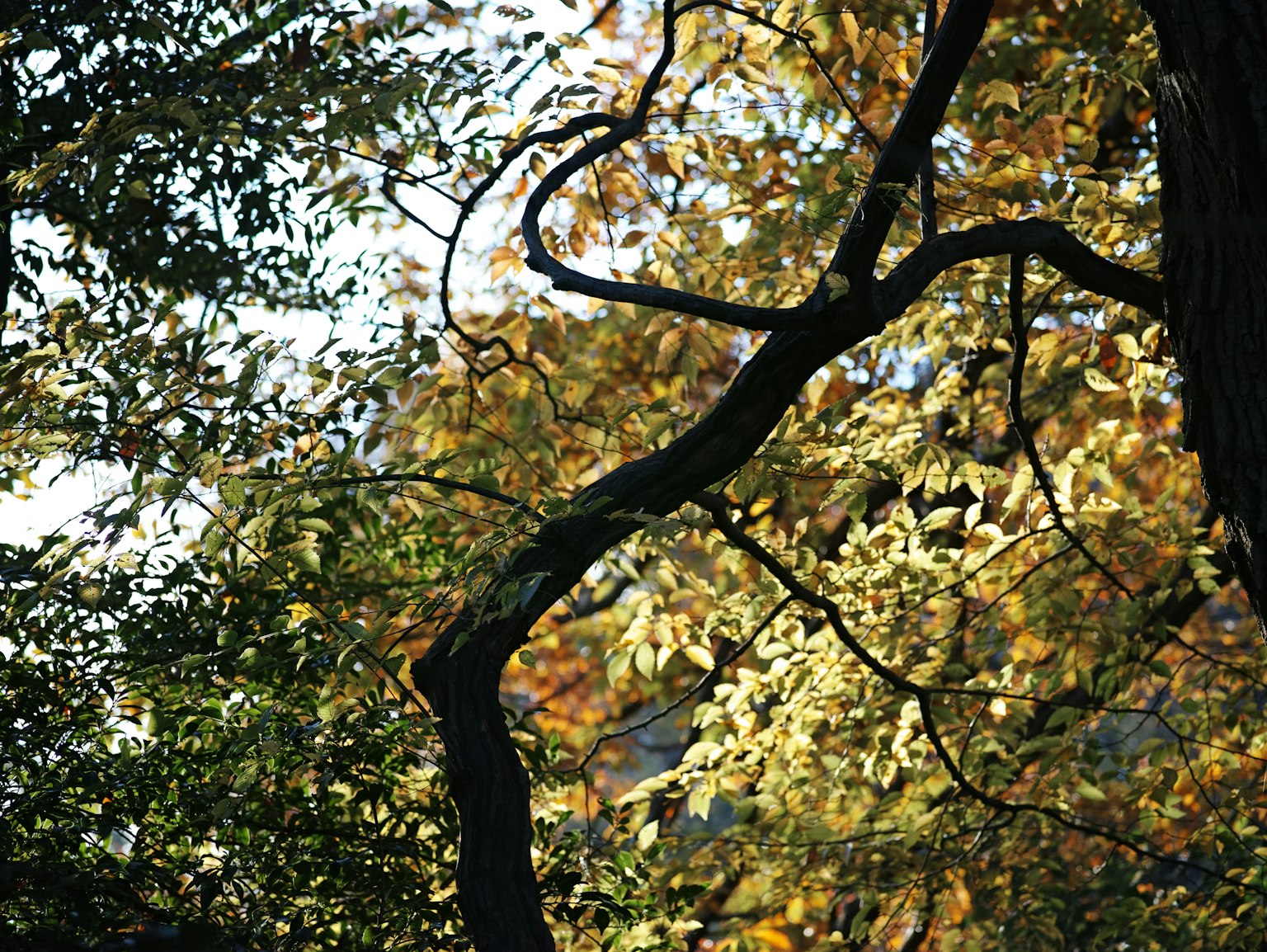 photo-Msk1MiVpospUjYt4CMVf-image