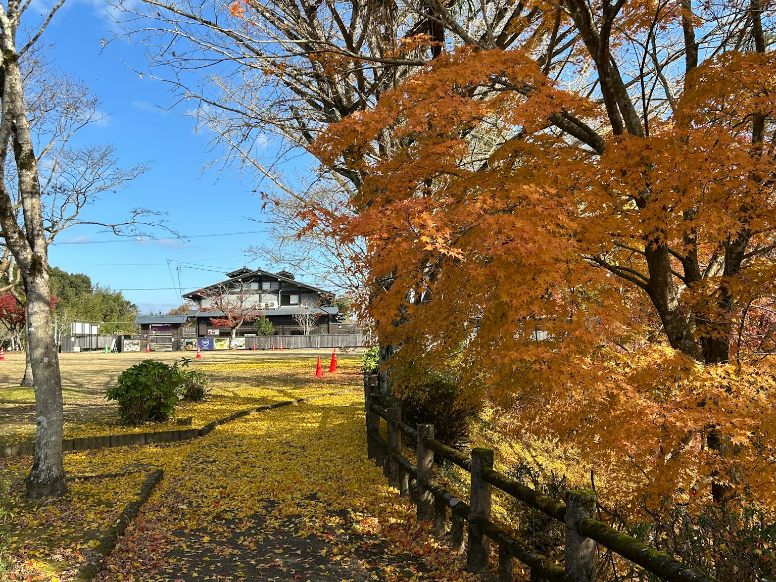 Malersicher Herbstweg mit orangen Bäumen und klarem blauen Himmel
