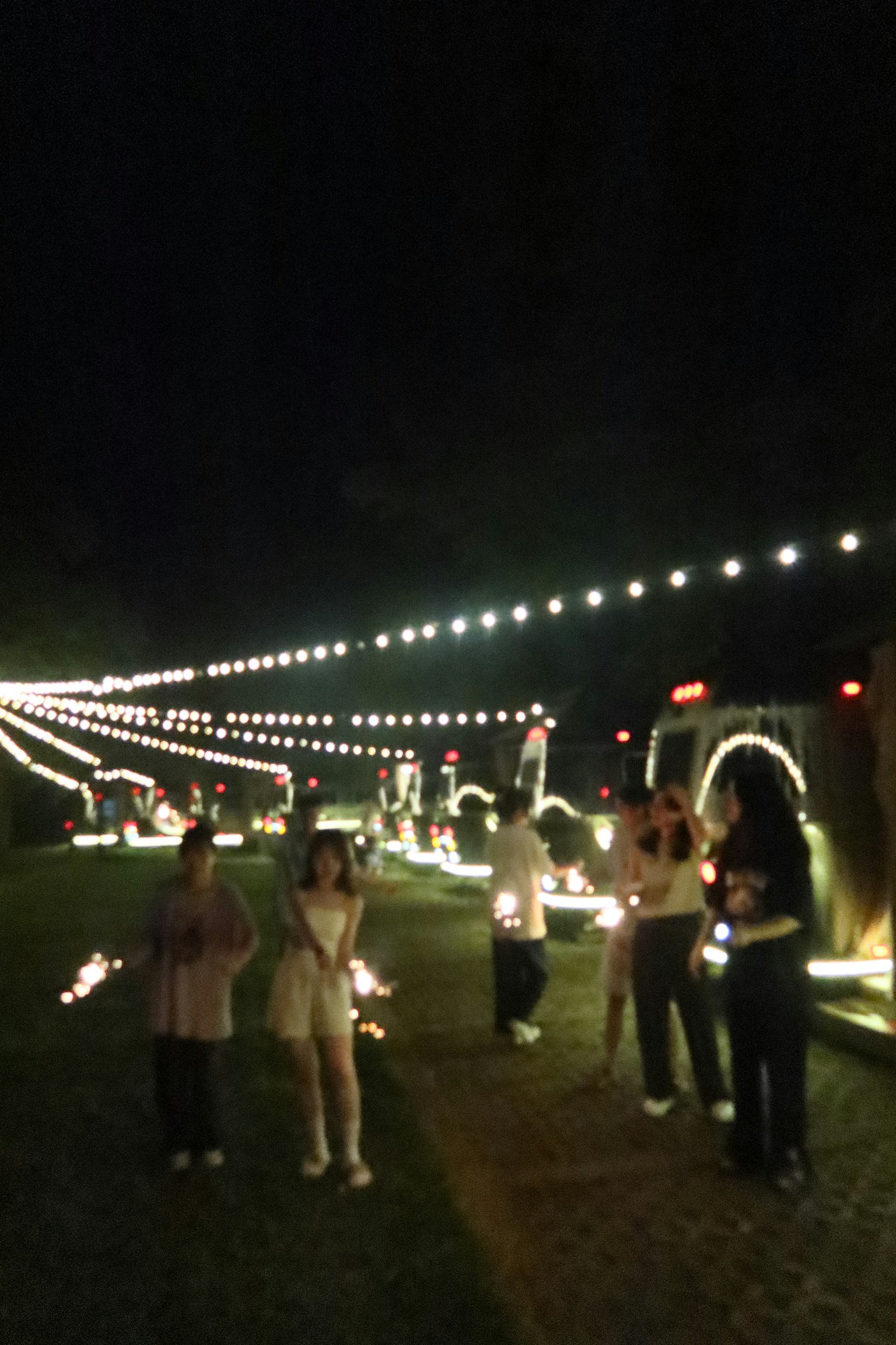 夜晚公園裡聚集的人們手持煙火，背景有閃爍的燈光