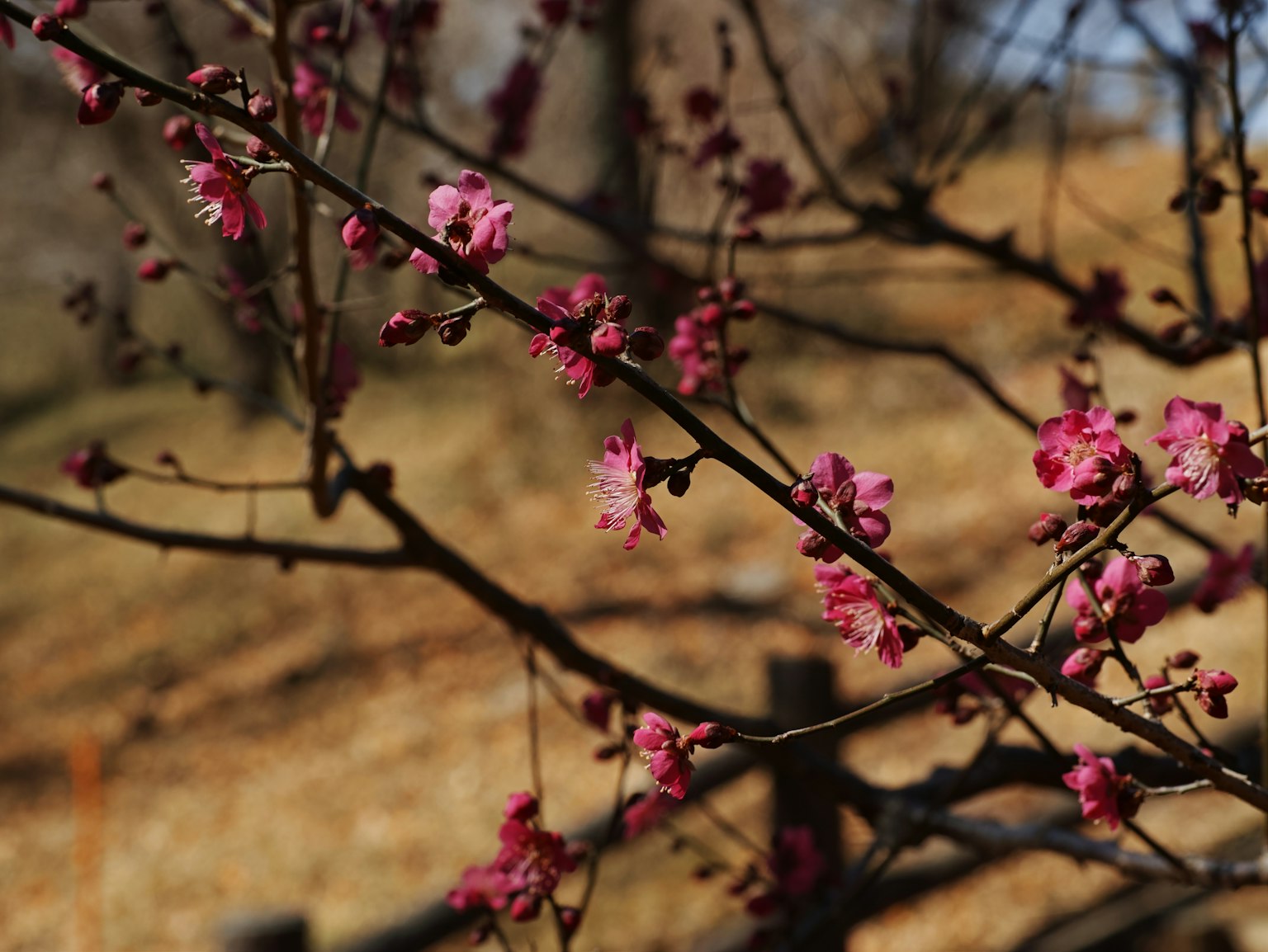 photo-Mt44yjrB8XZRpo12CgY5-image