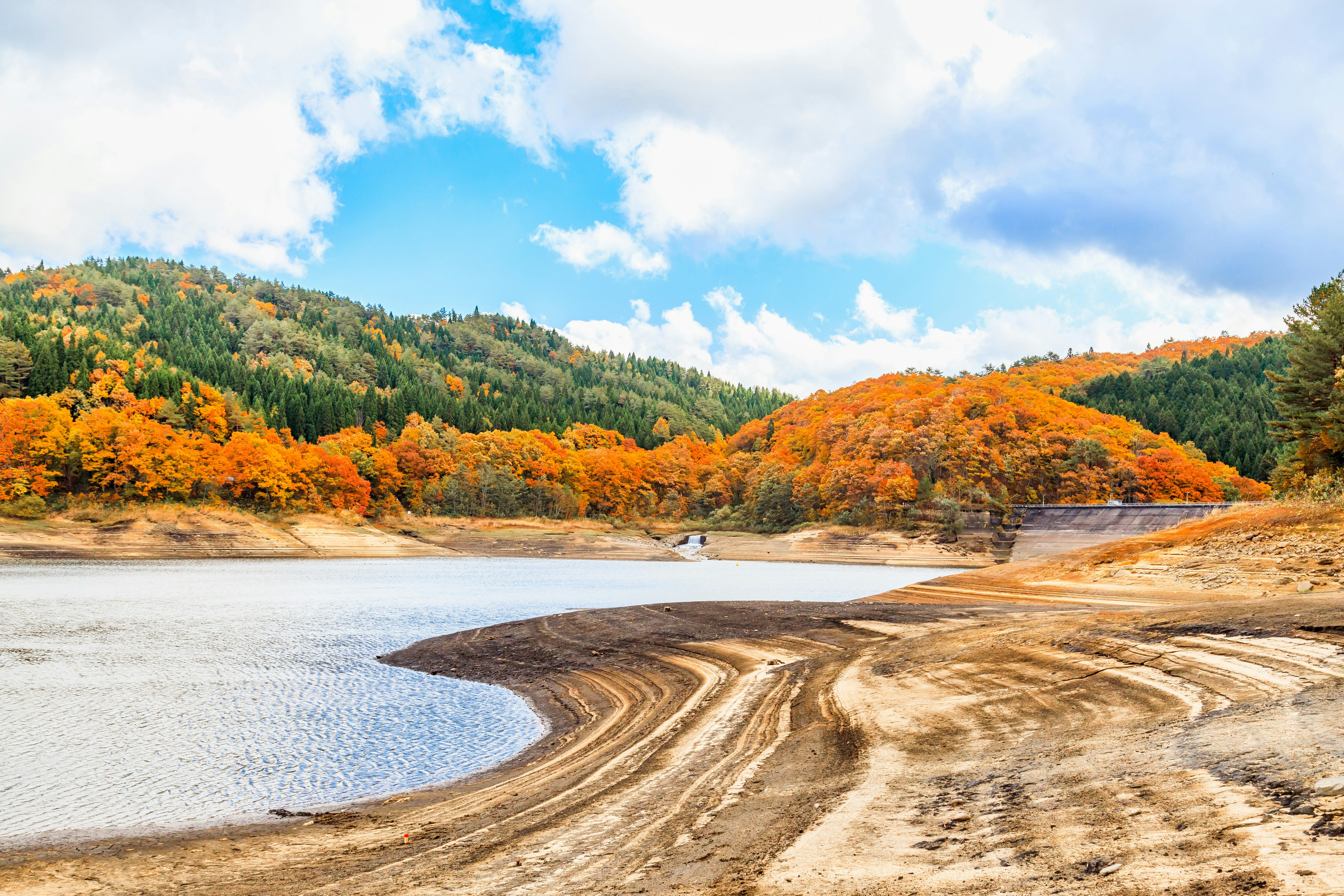 紅葉の高原に広がる湖畔の砂浜と曲線の水際