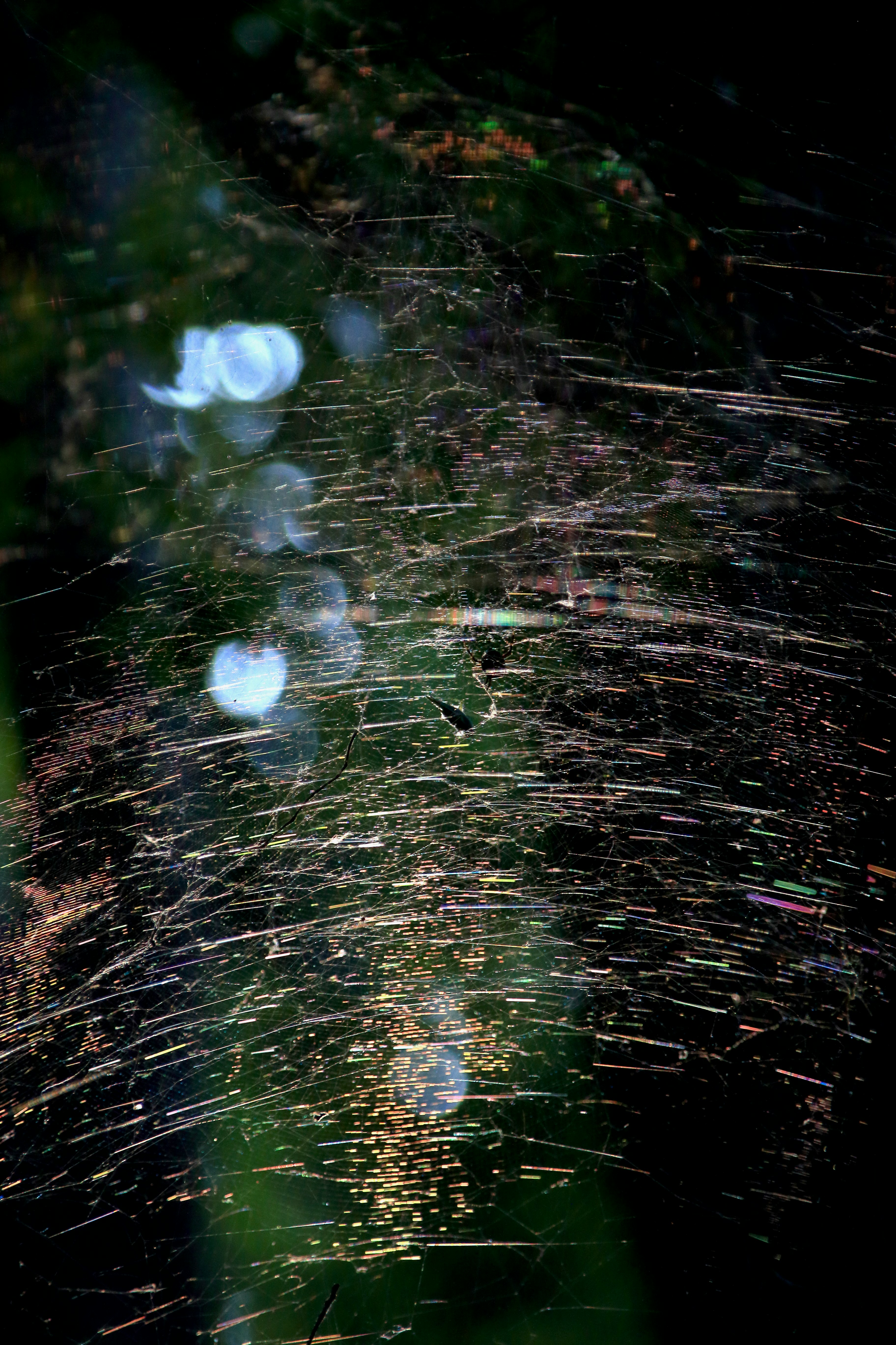 countless lights reflecting on a night water surface