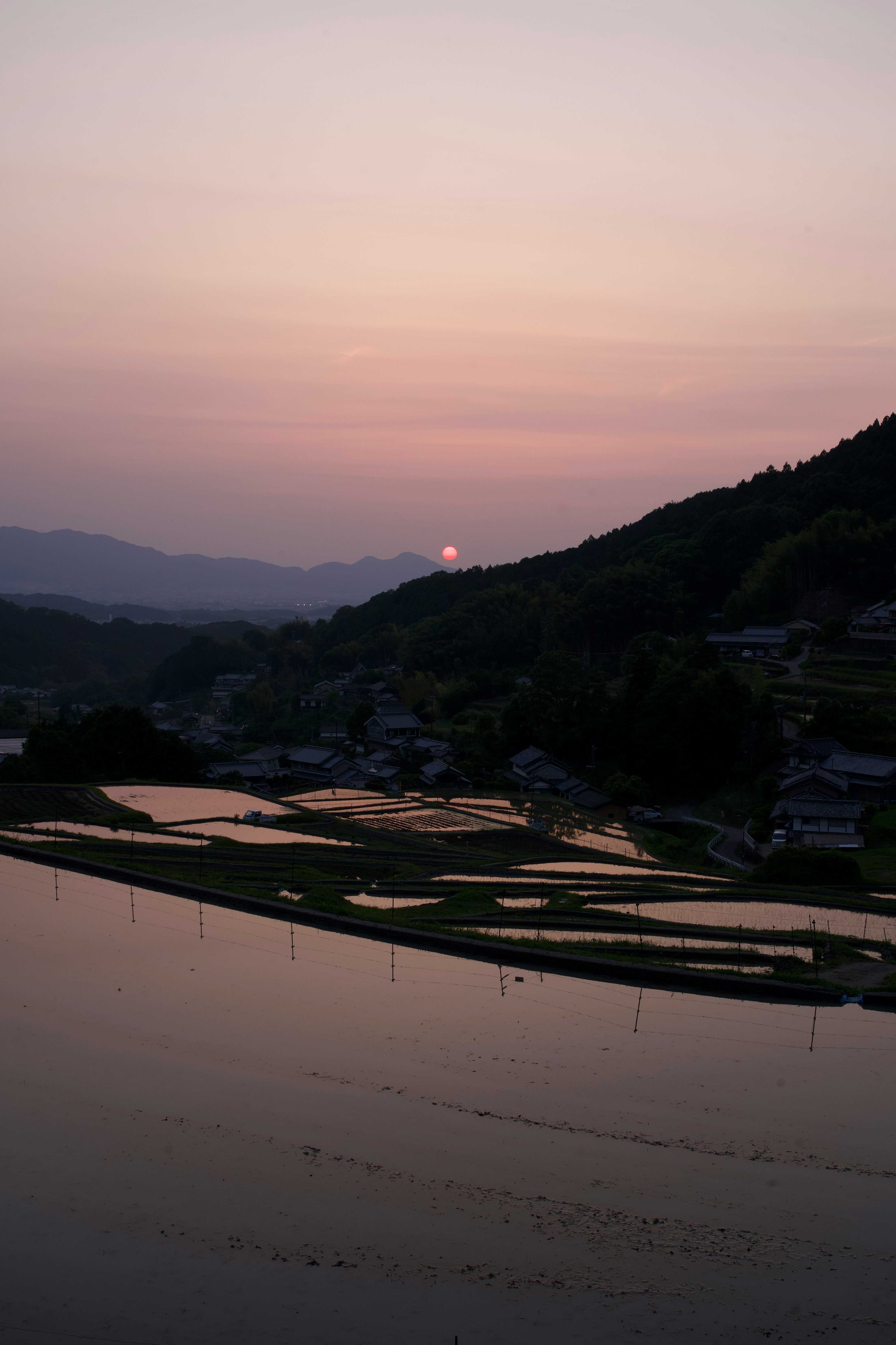 奈良・明日香村の棚田と夕日に染まる水面の風景