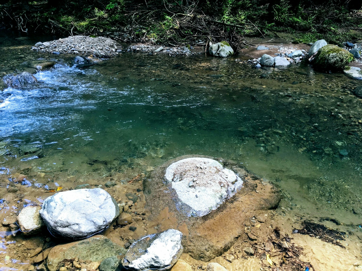 Ruscello d'acqua limpida con rocce in un ambiente naturale