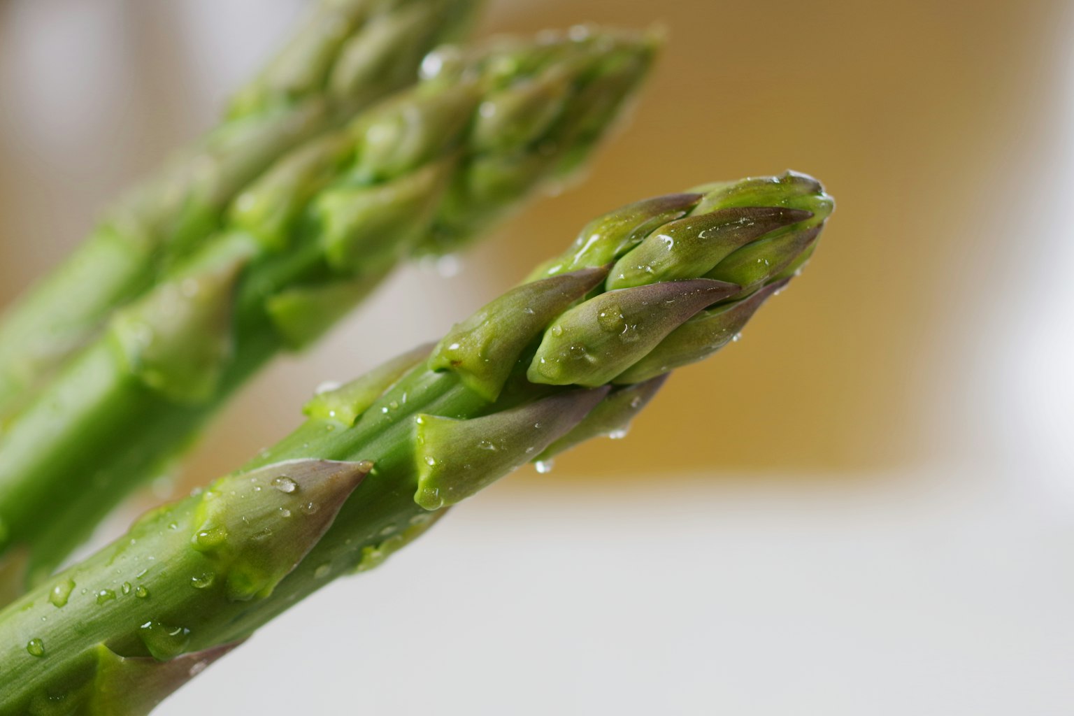 Close-up of fresh asparagus with water droplets on green stalks
