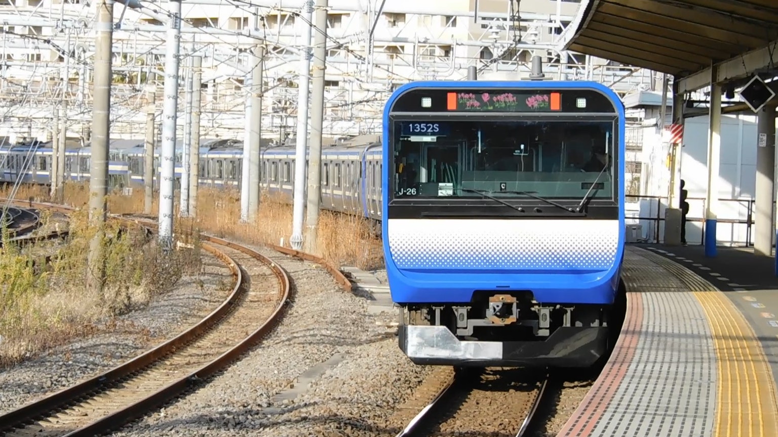 Treno blu e bianco in arrivo alla stazione