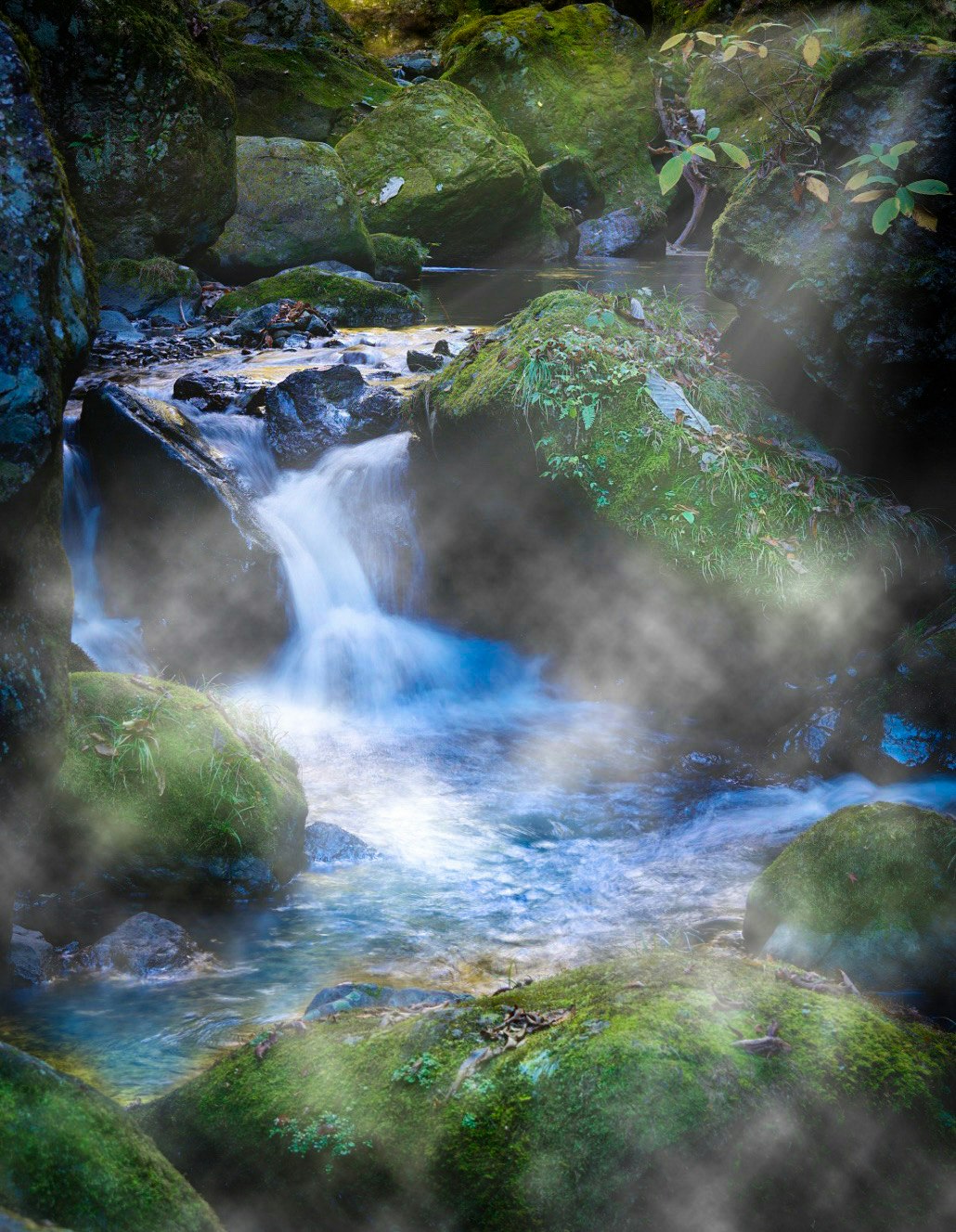苔むす渓流と幻想的な流れの時間