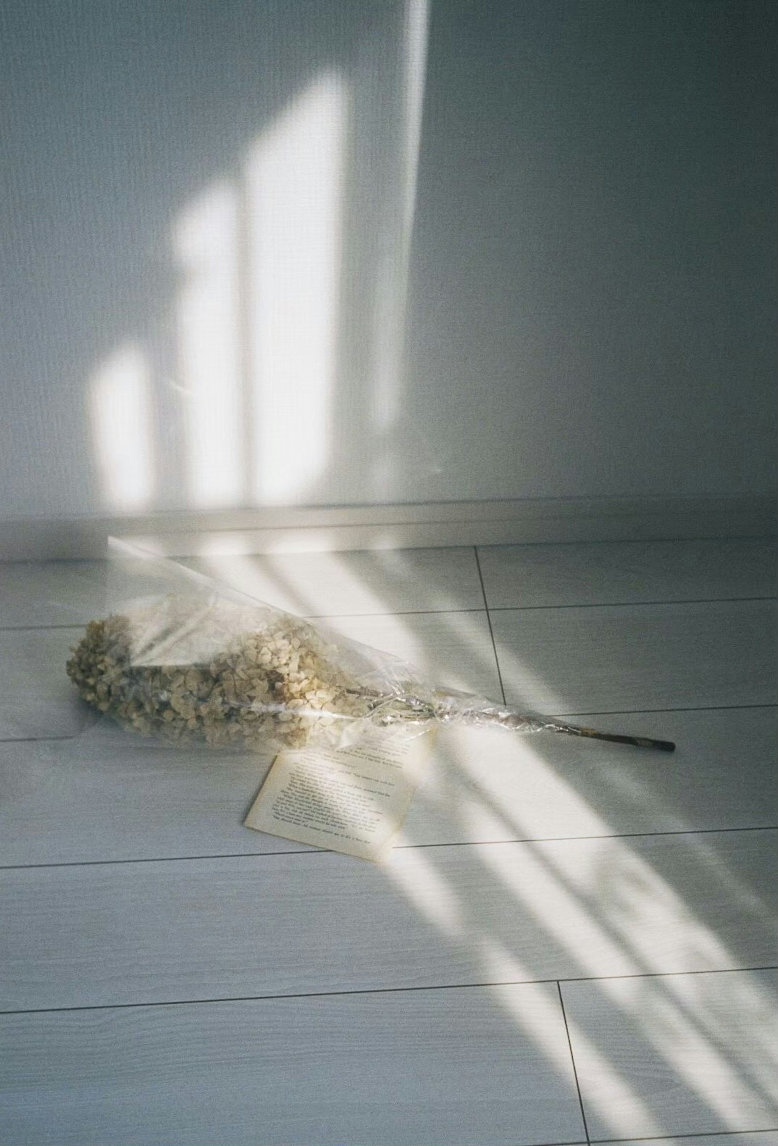 Fiore secco appoggiato sul pavimento con ombre di luce