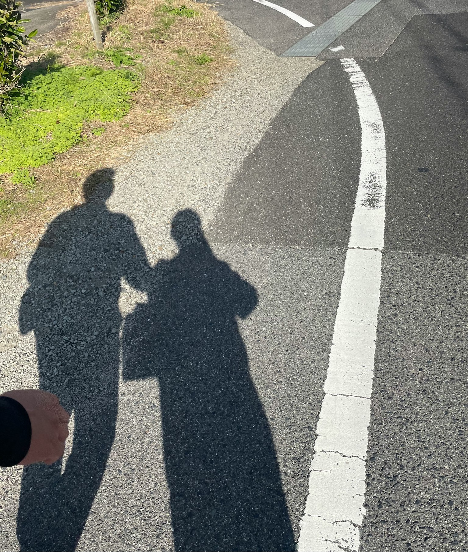 两道影子走在弯曲的道路上