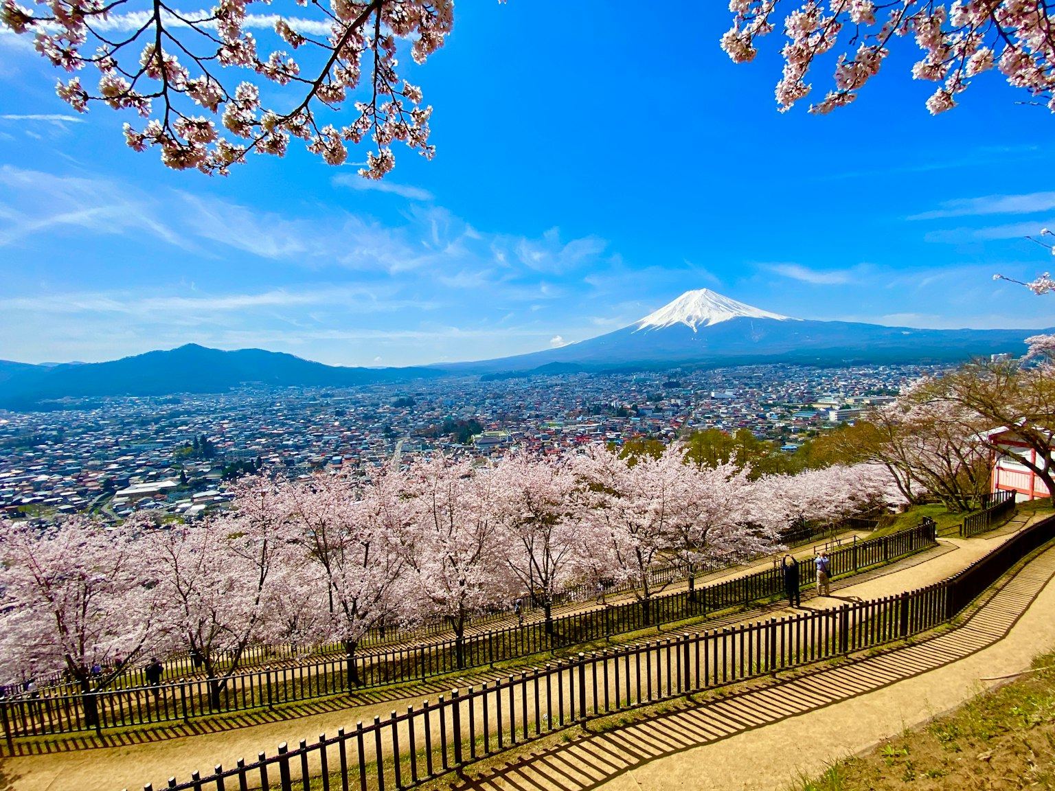 Paisaje con cerezos en flor y el monte Fuji al fondo