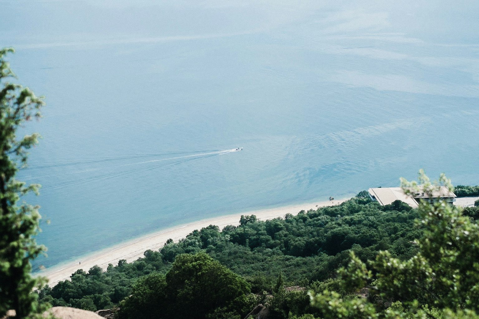 Vue panoramique de la mer bleue et des arbres verts avec un bateau traversant