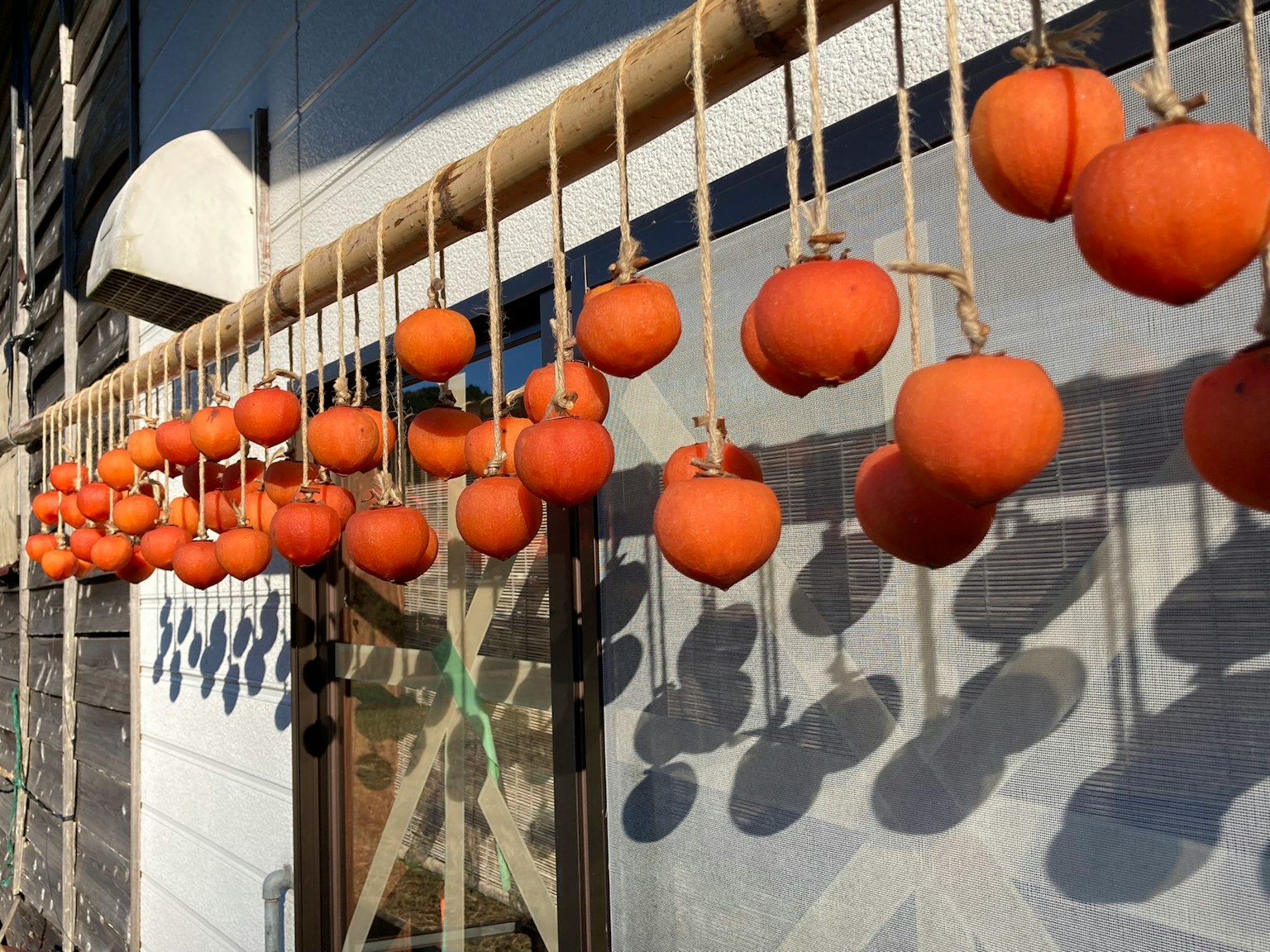 Una exhibición de caquis secos naranjas colgados en fila
