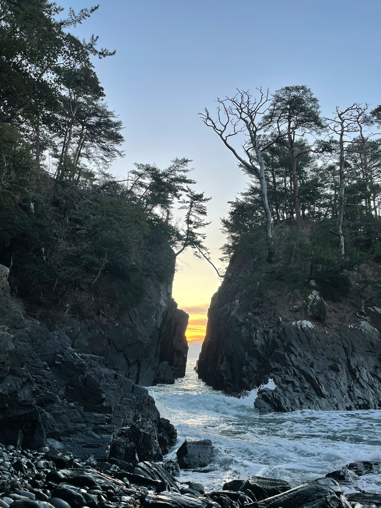 日落時的岩石懸崖和樹木的海岸景觀