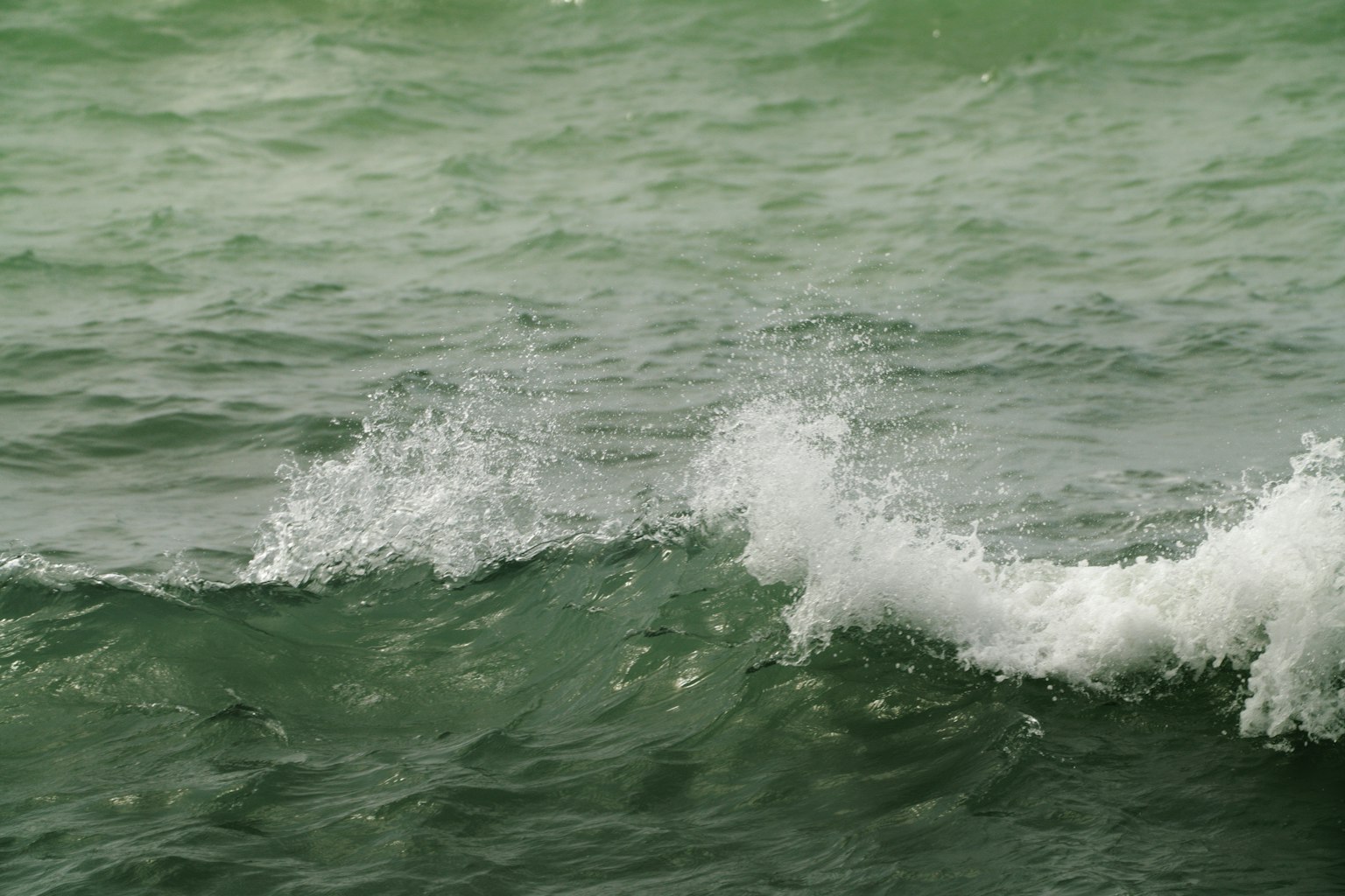 Primo piano di onde oceaniche verdi con schiuma bianca