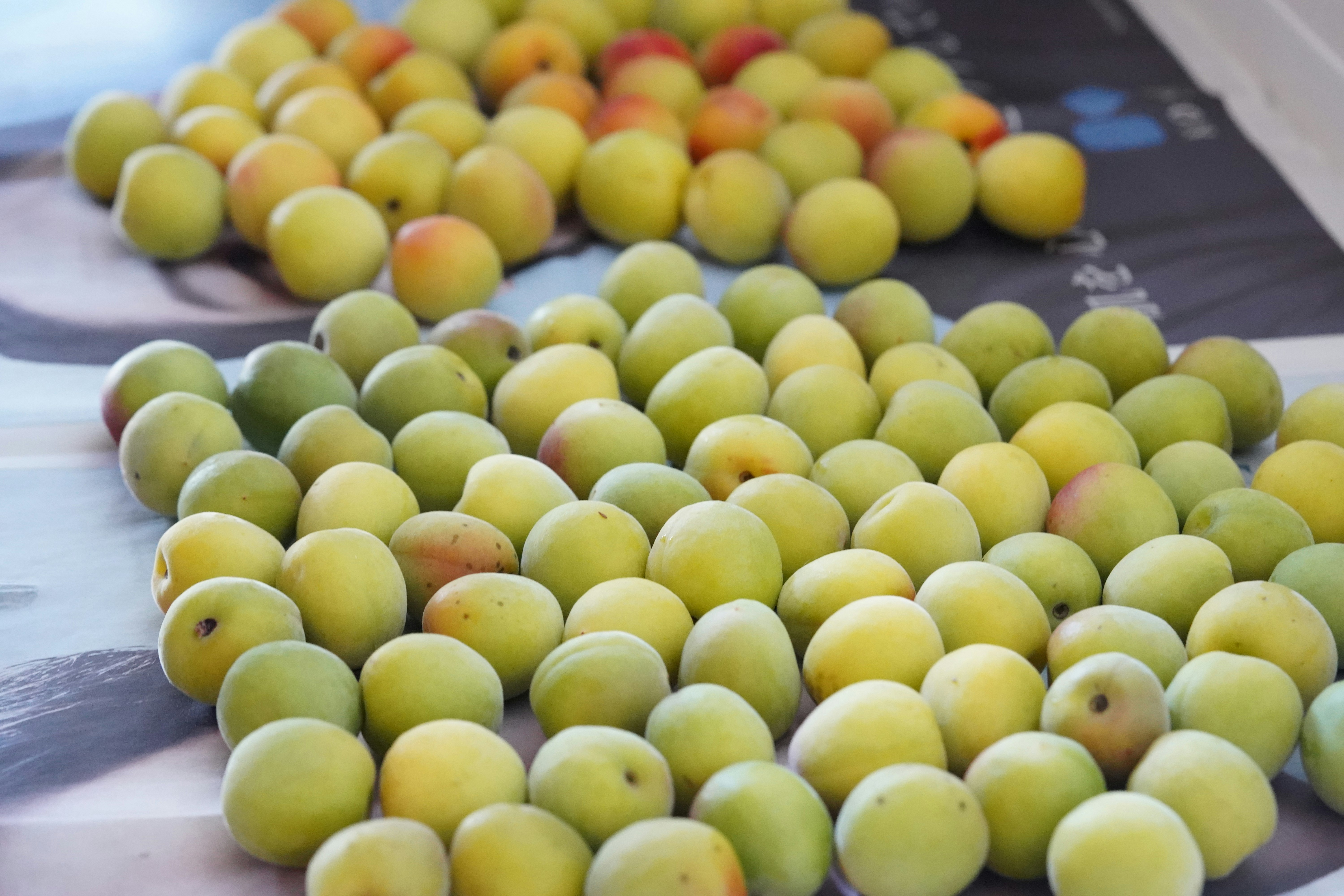 一盤盤小型青綠與黃色水果