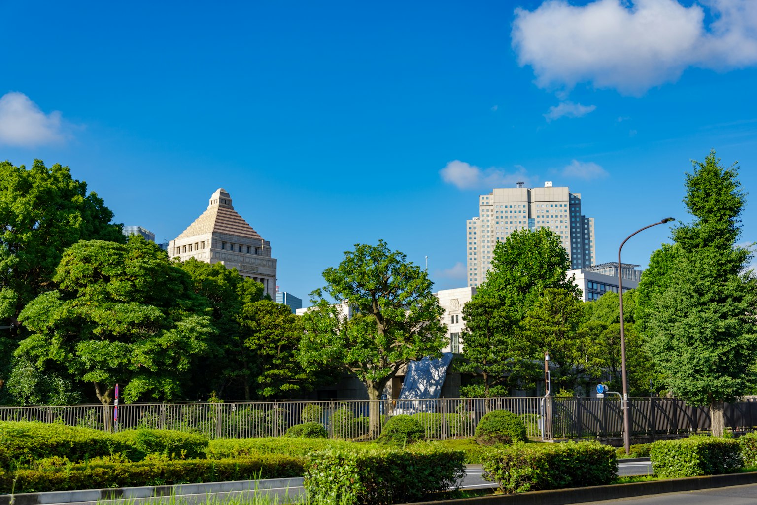 蓝天下的公园和周围建筑群，绿树成荫