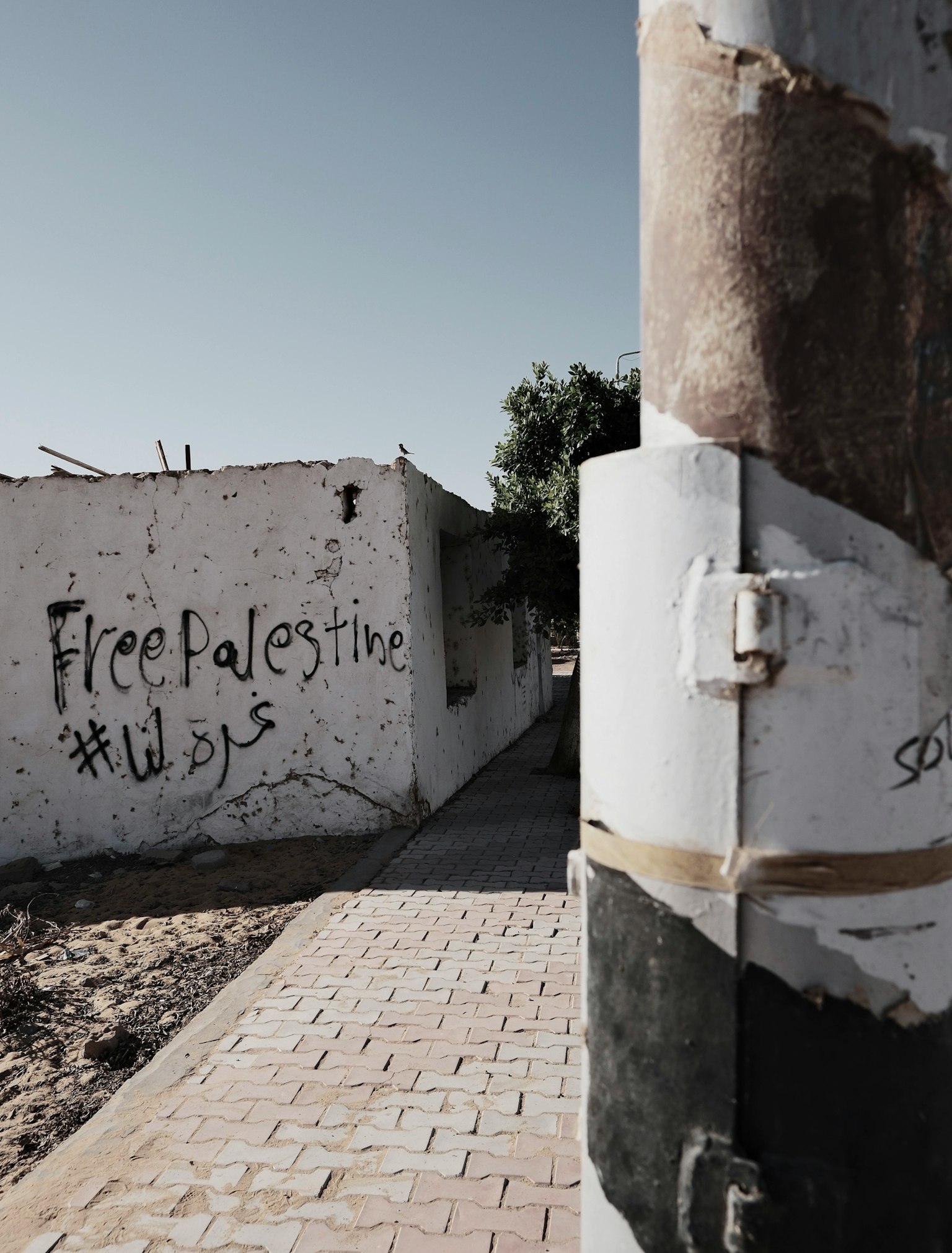 パレスチナ解放のメッセージが描かれた壁と舗装された道の風景