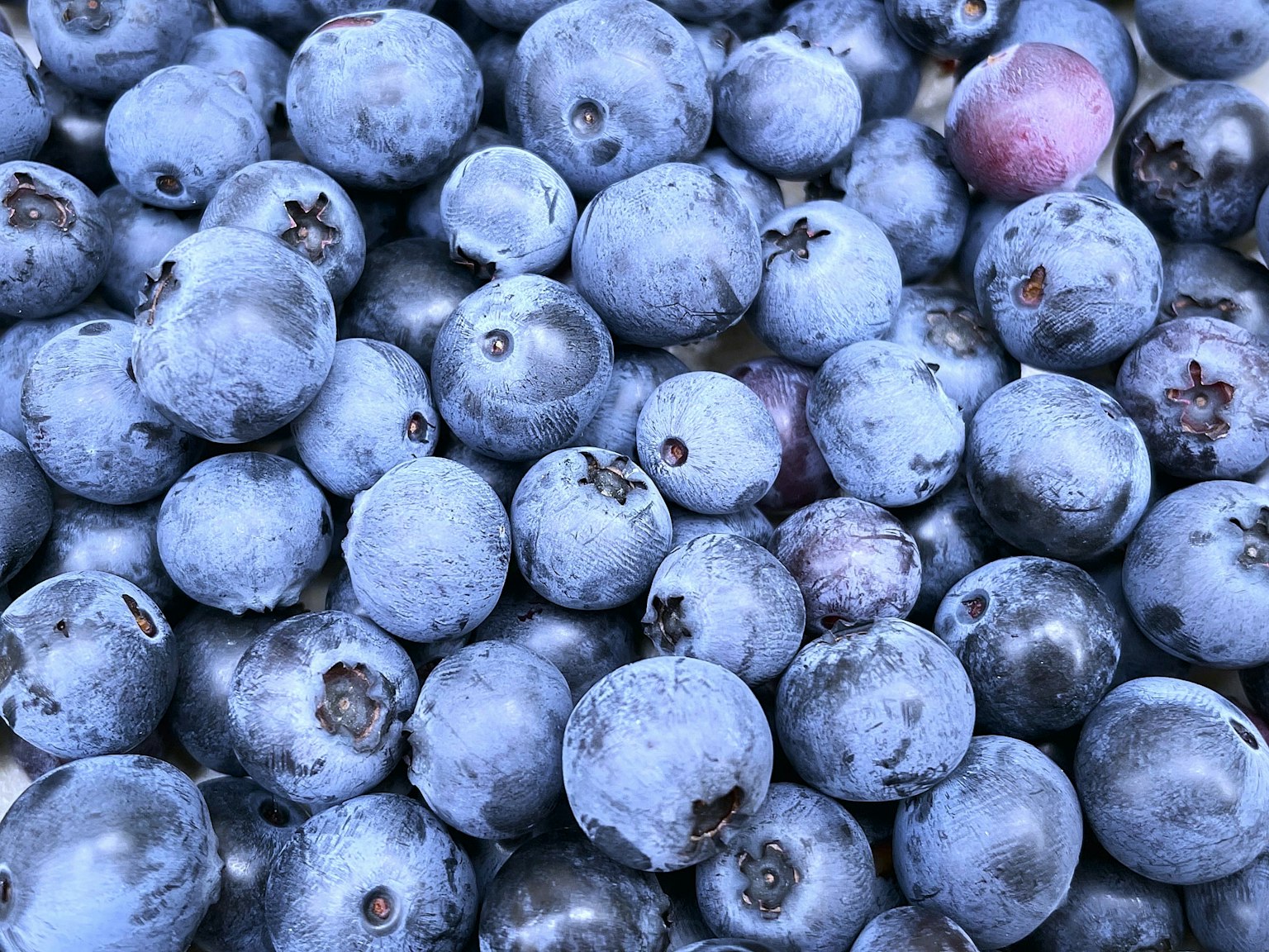 Close-up image of fresh blueberries