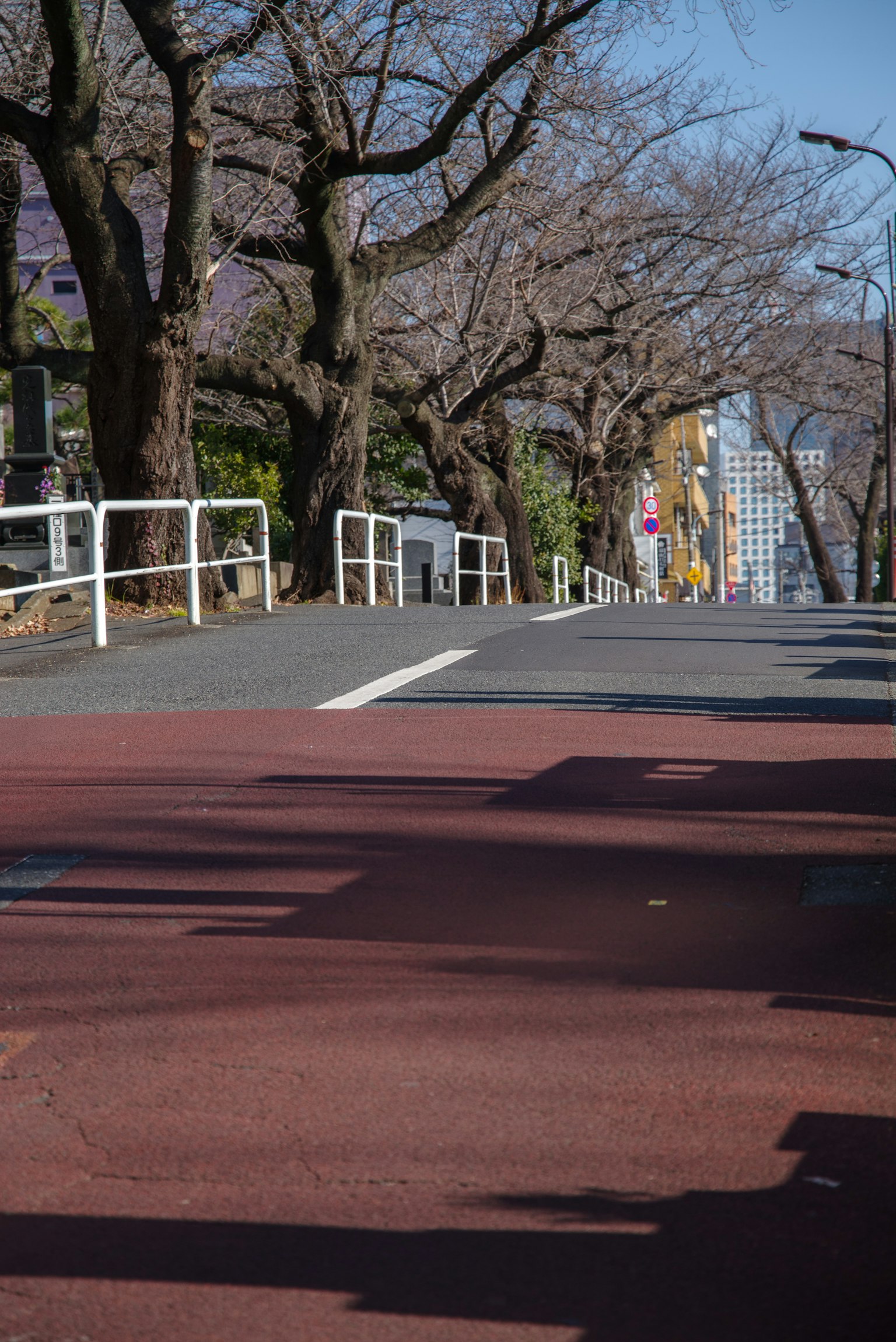 Vista escénica de una carretera pavimentada roja bordeada de cerezos