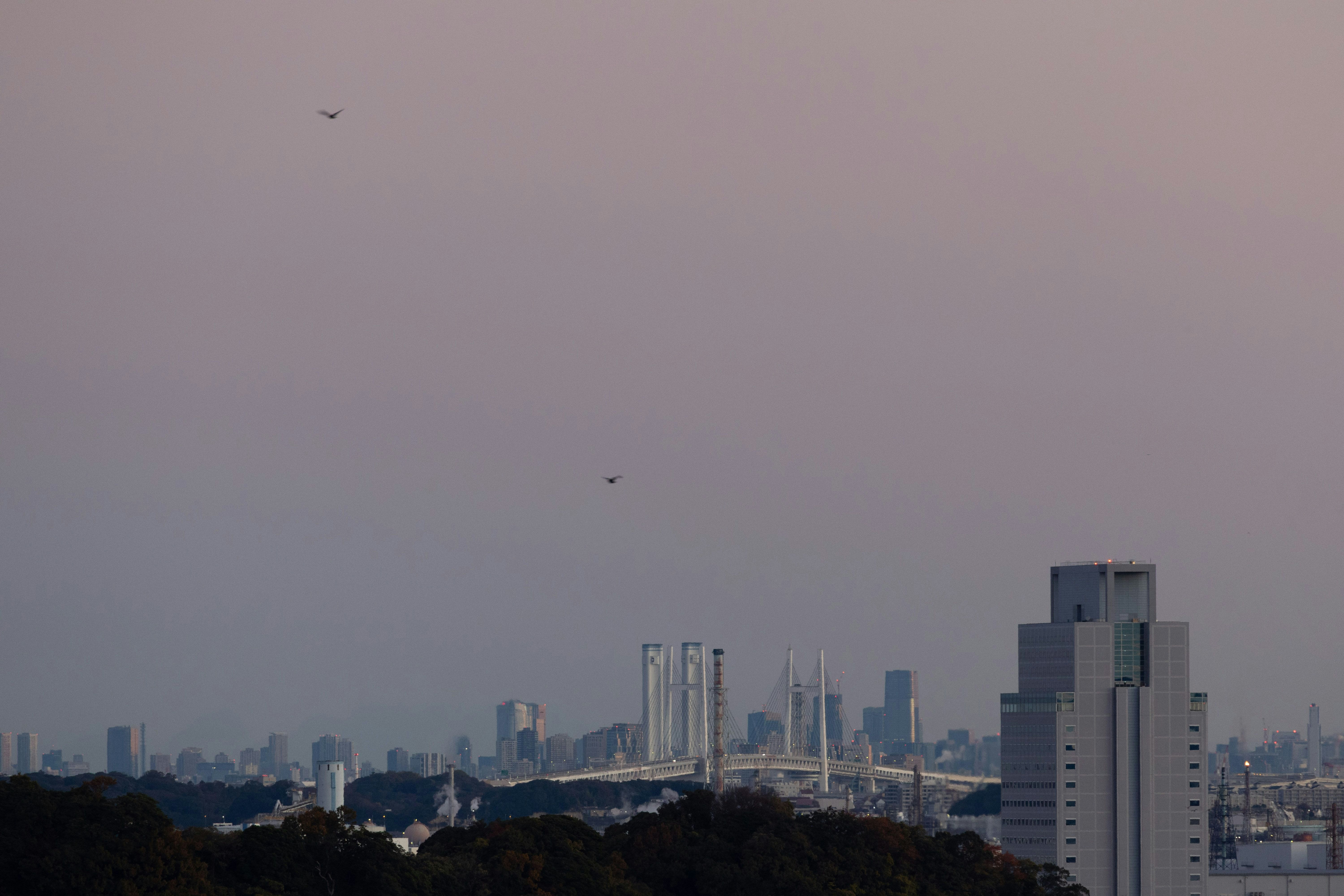街並みと遠くの高層ビルが霞む夕暮れの空