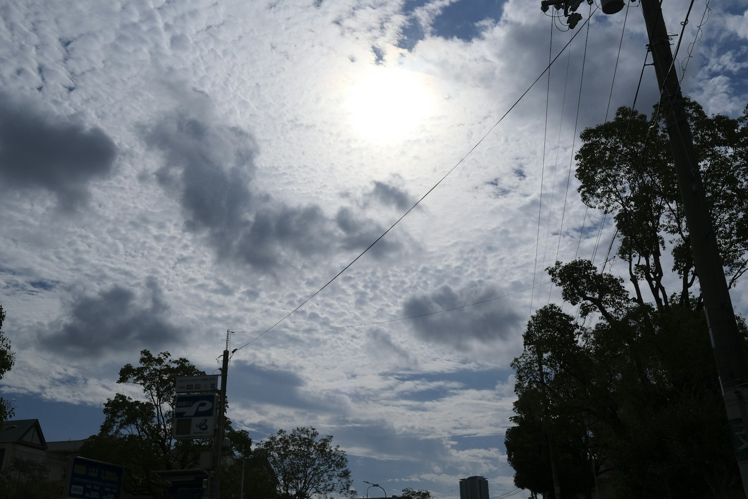 Silhouette of buildings and trees under a cloudy sky