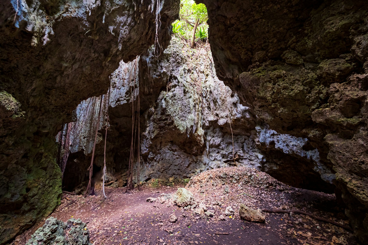 Vista interna di una grotta con pareti rocciose fogliame verde e un terreno coperto di foglie