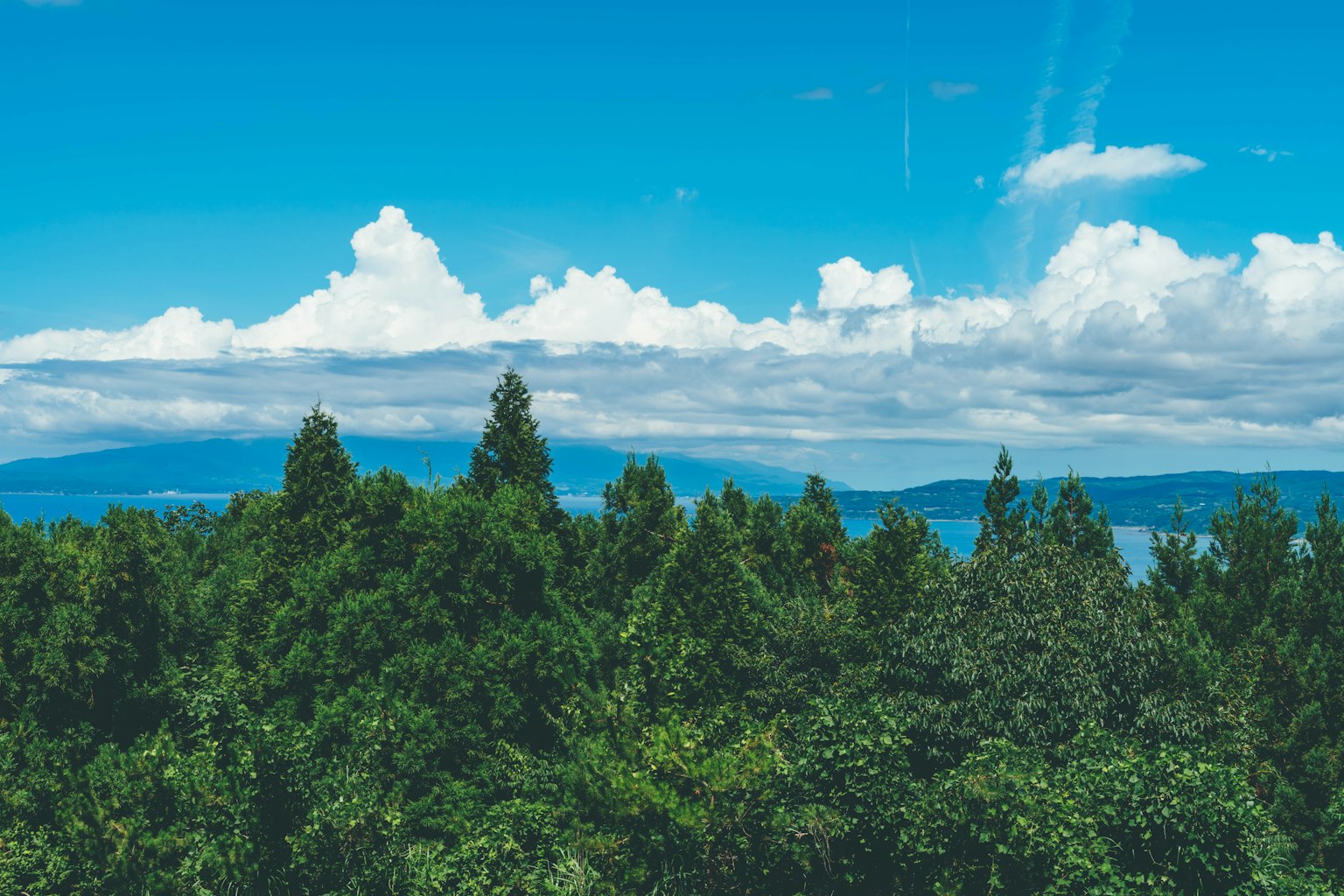 Paesaggio di alberi verdi sotto un cielo blu con nuvole
