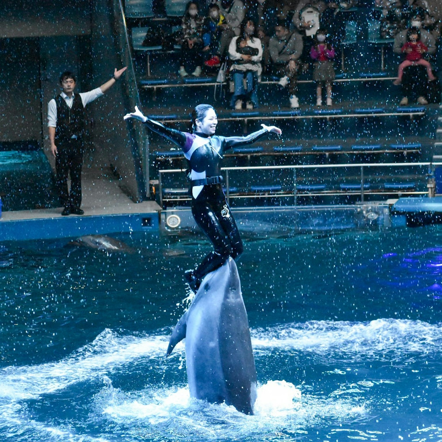 Darsteller steht auf einem Delfin mit Publikum in einer Aquariumschau