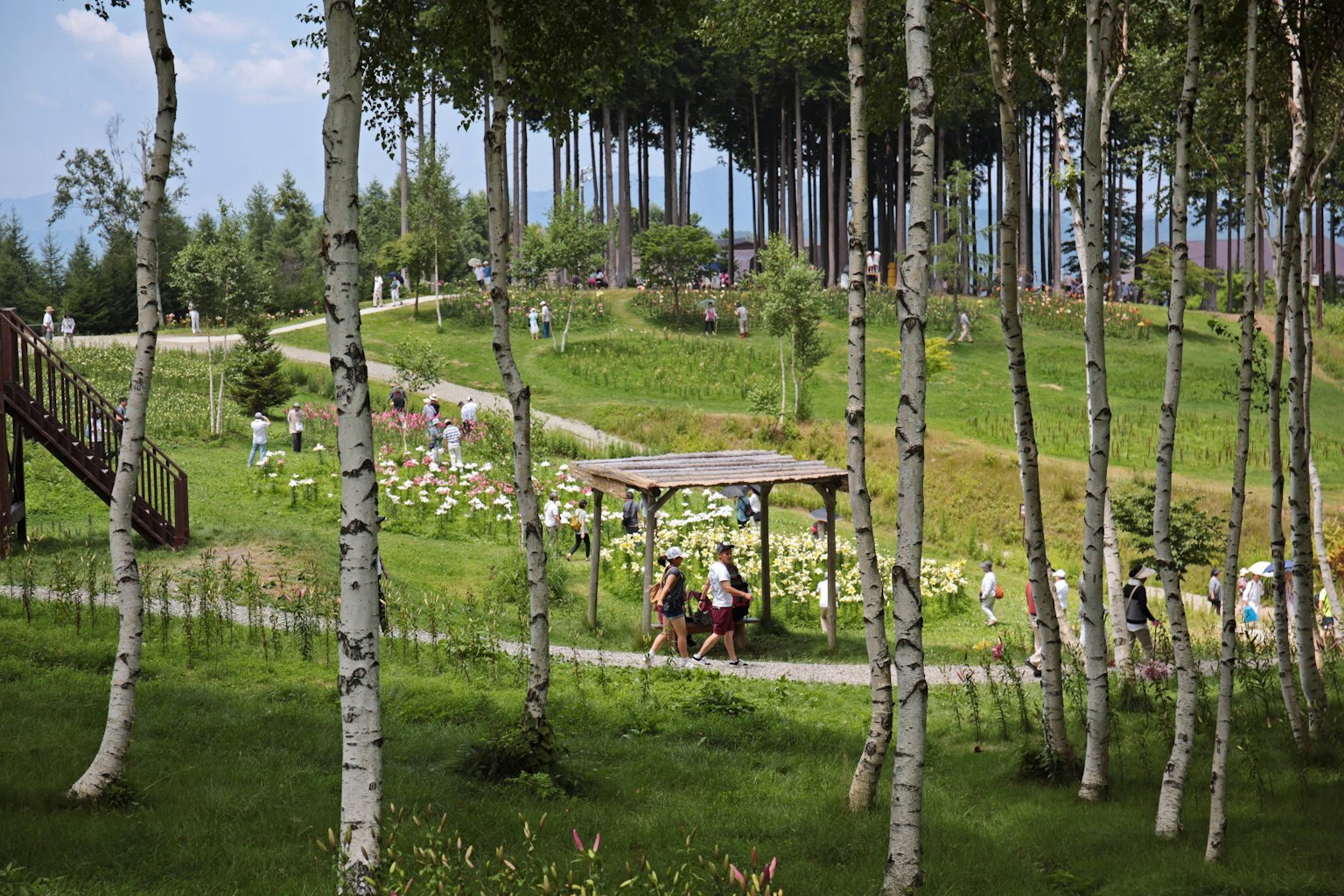 Un parque exuberante con personas caminando y árboles al fondo