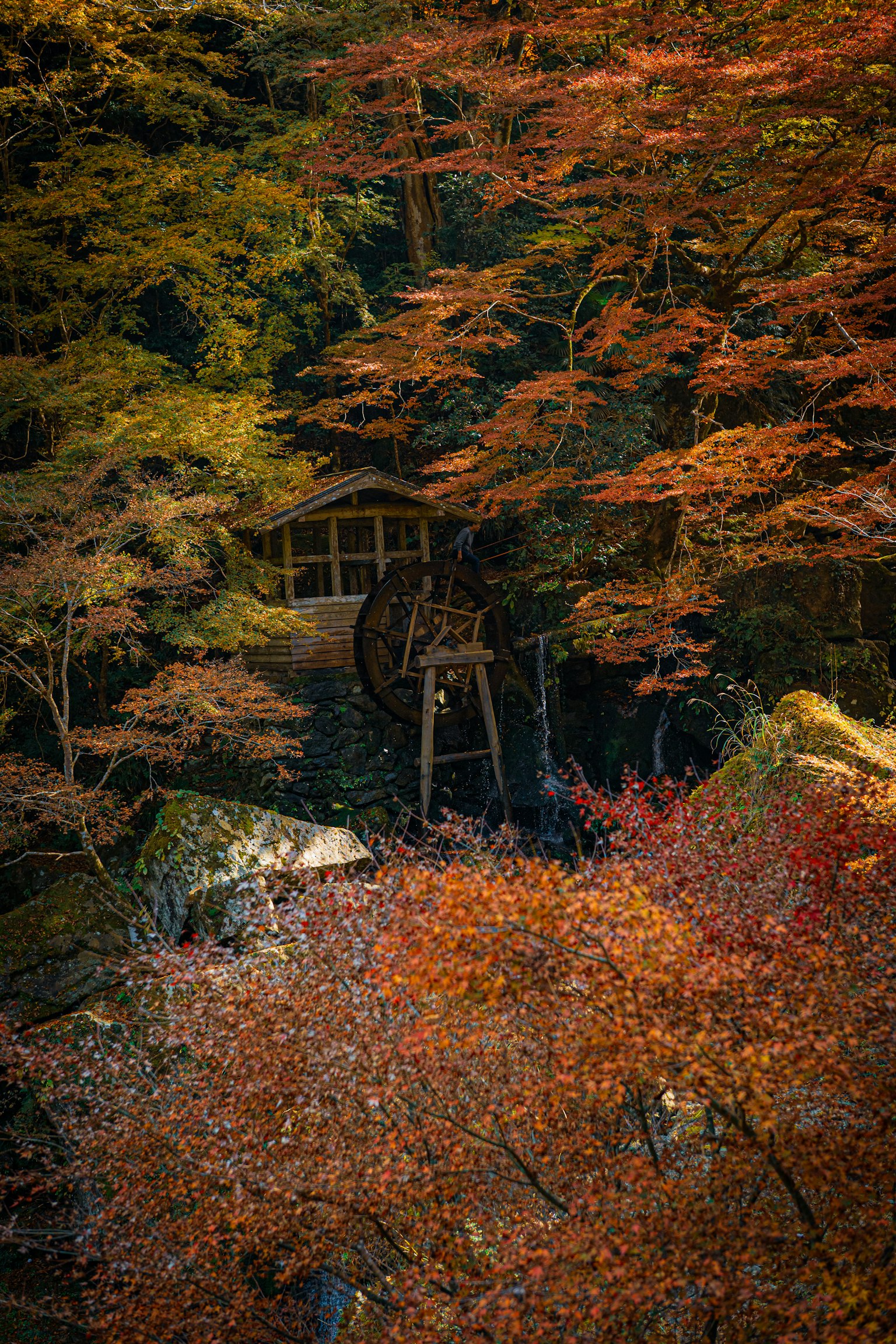 秋の紅葉に囲まれた水車小屋の風景