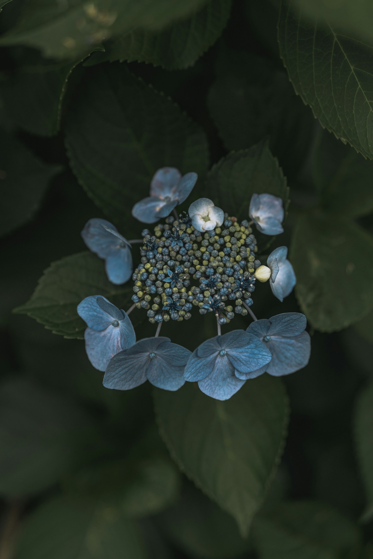 photo-N3O2j04Kk2BZ0uJ7s7sJ-image