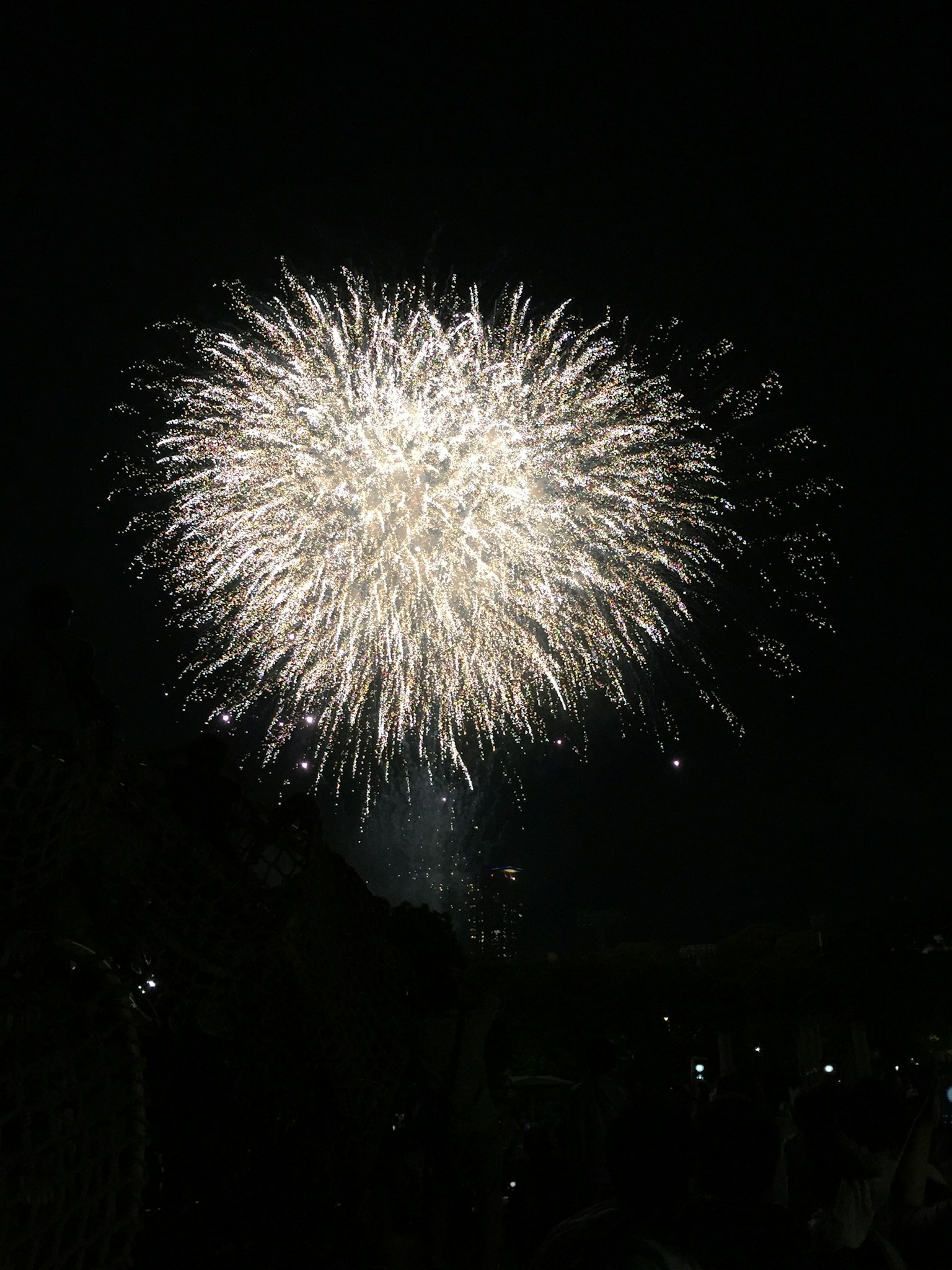 夜空中绽放的白色烟花爆炸