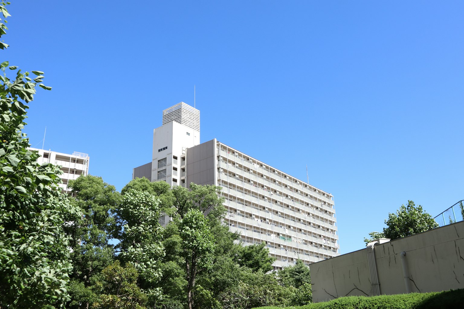 Edificio moderno sotto un cielo blu chiaro con alberi verdi