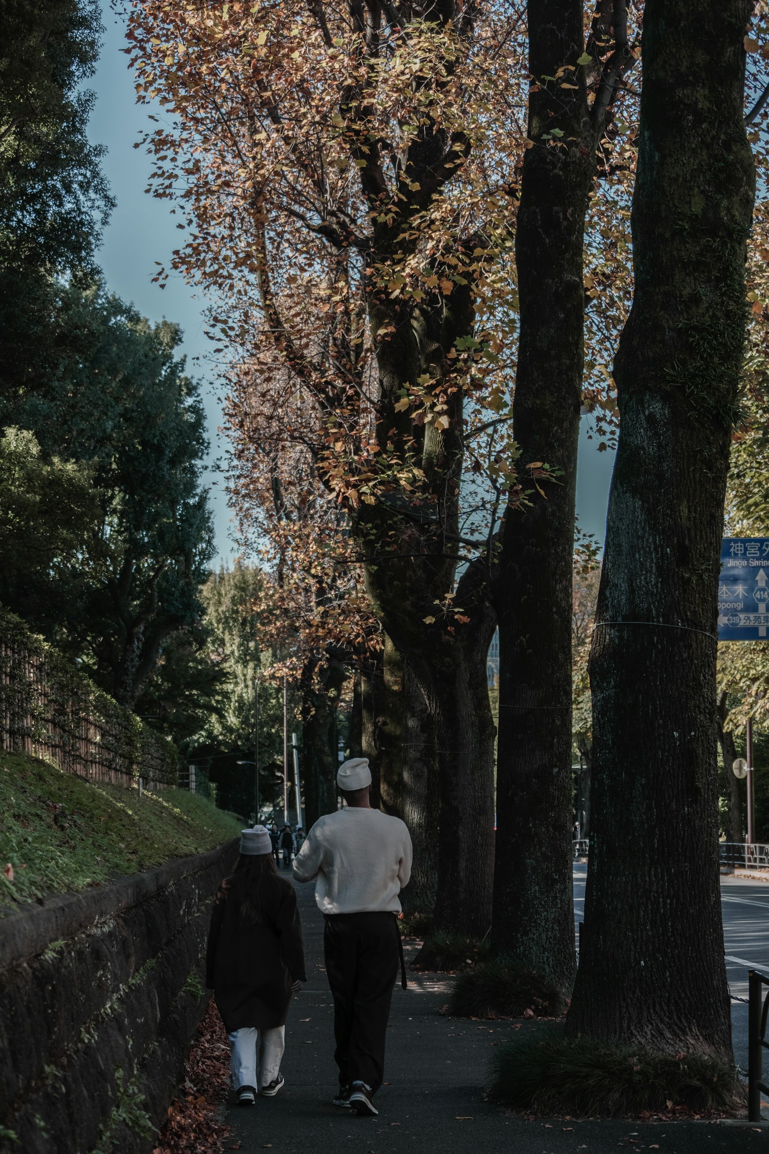 Due persone che camminano su un sentiero coperto di foglie accanto a grandi alberi